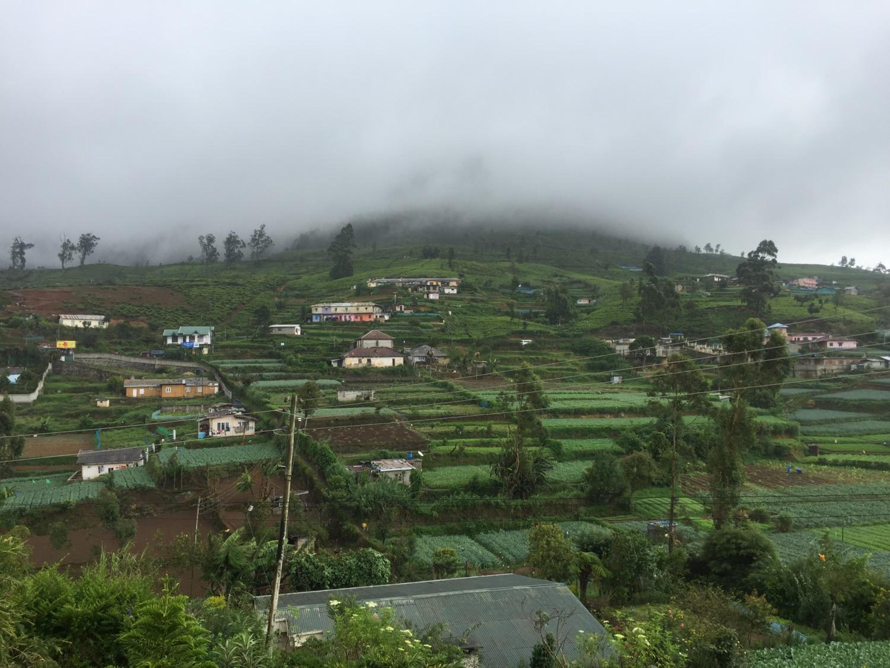Perera Homestay