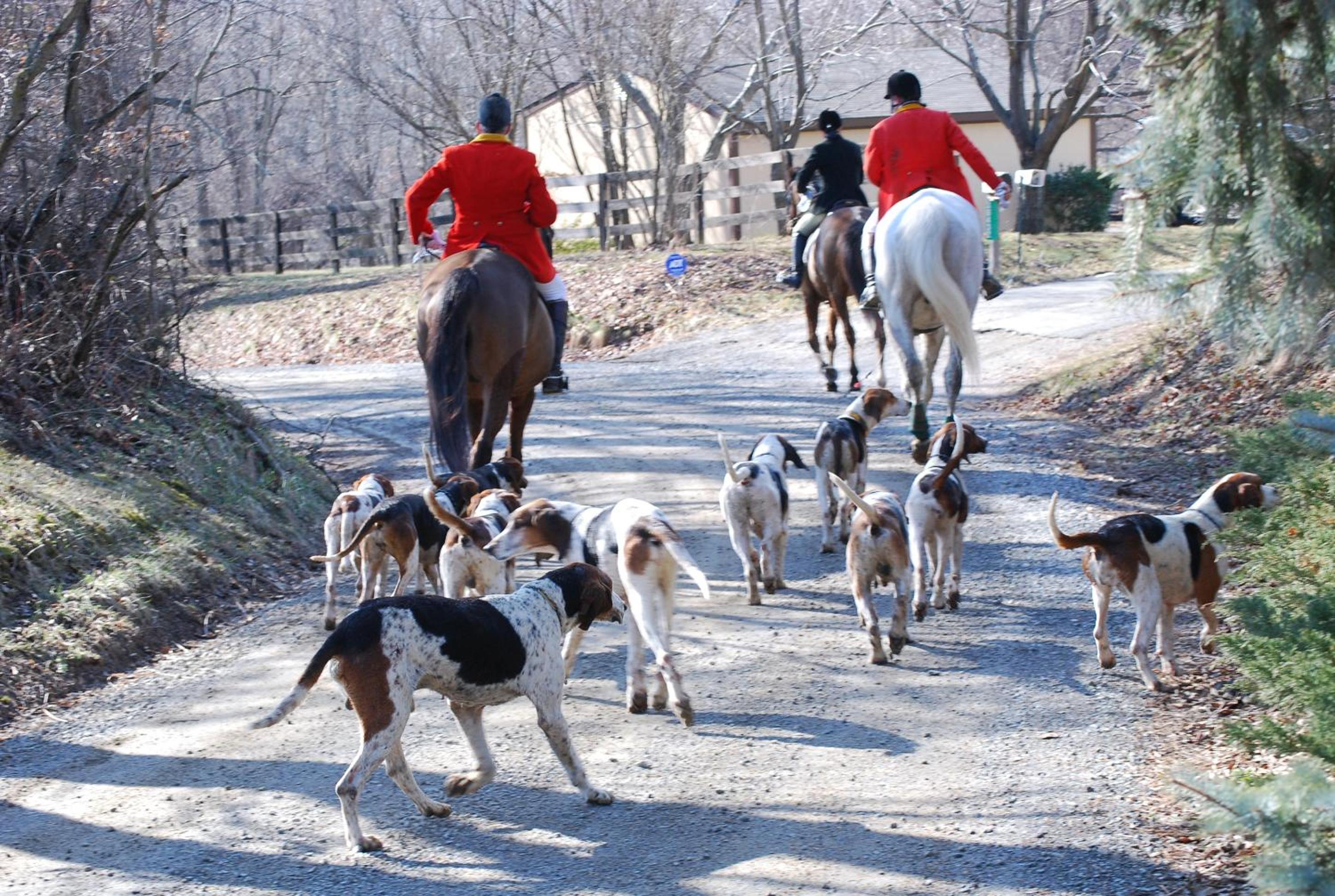 Villa Maud - Property Image 25