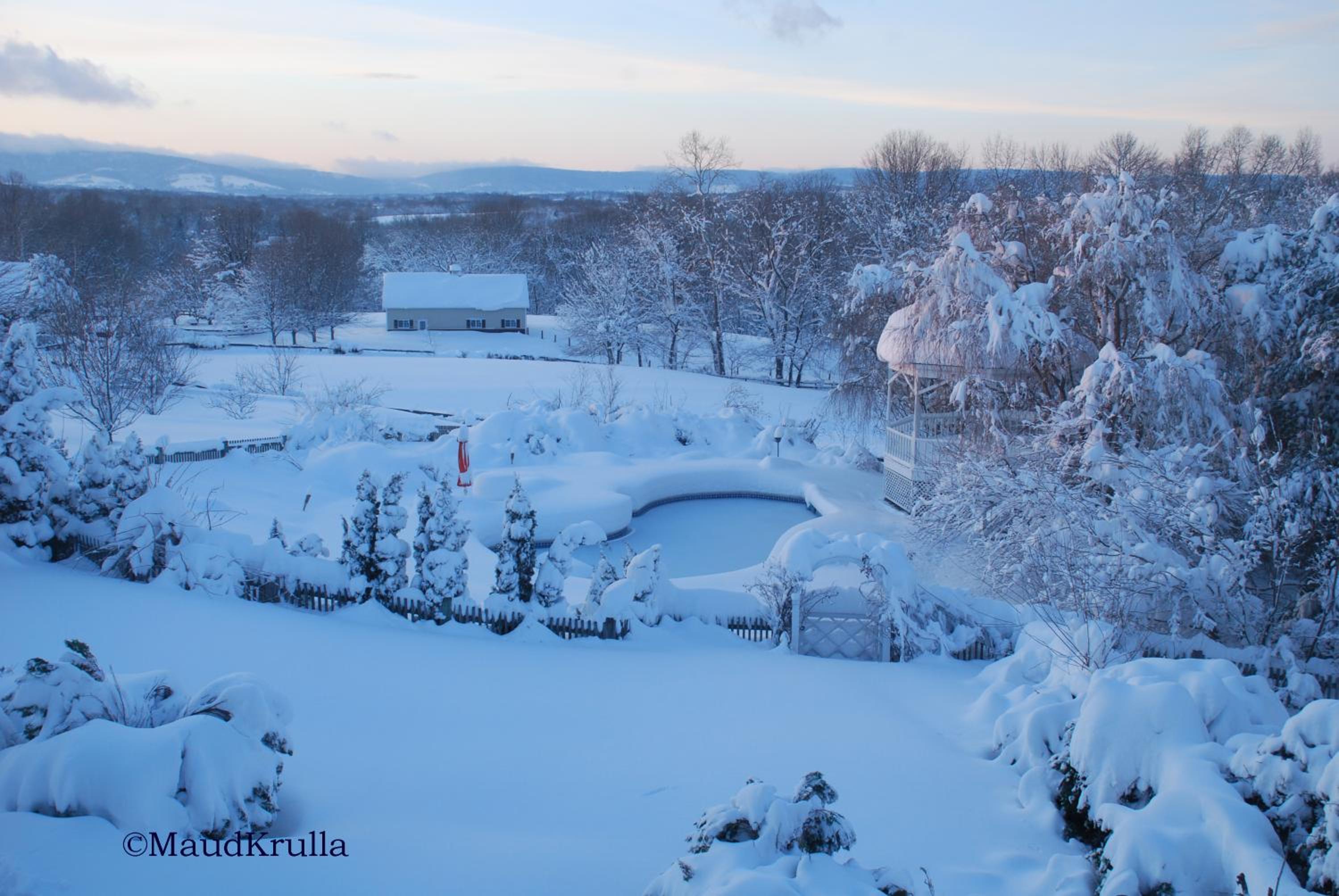 Villa Maud - Property Image 50