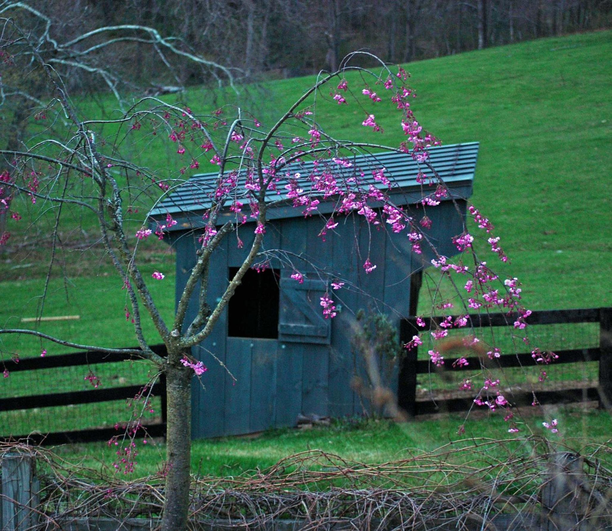 Villa Maud - Property Image 29