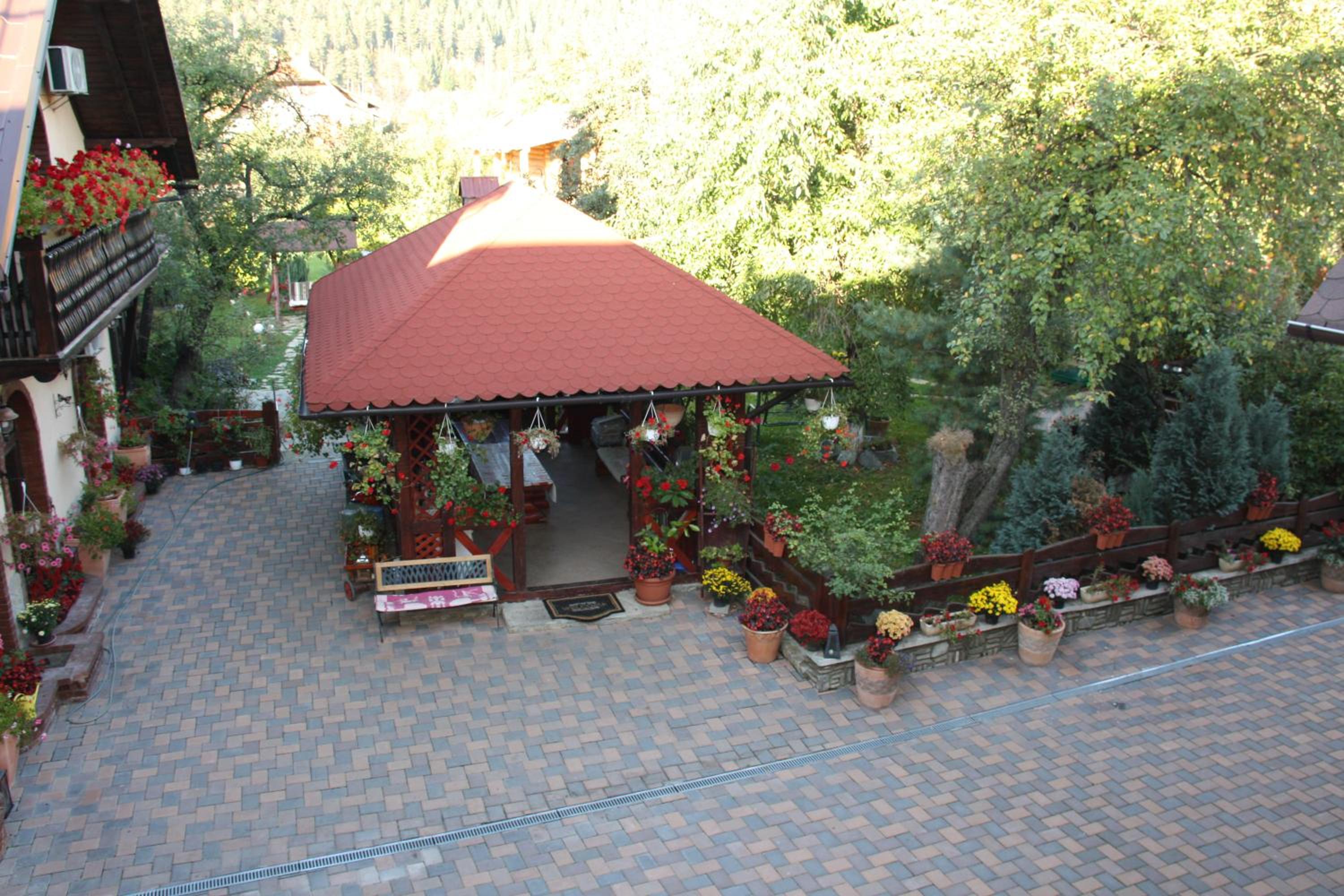 Photo 11