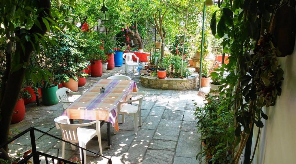 Garden of Edem photo 1