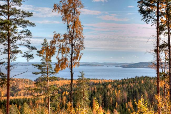 Riihivuori Cottages view 5