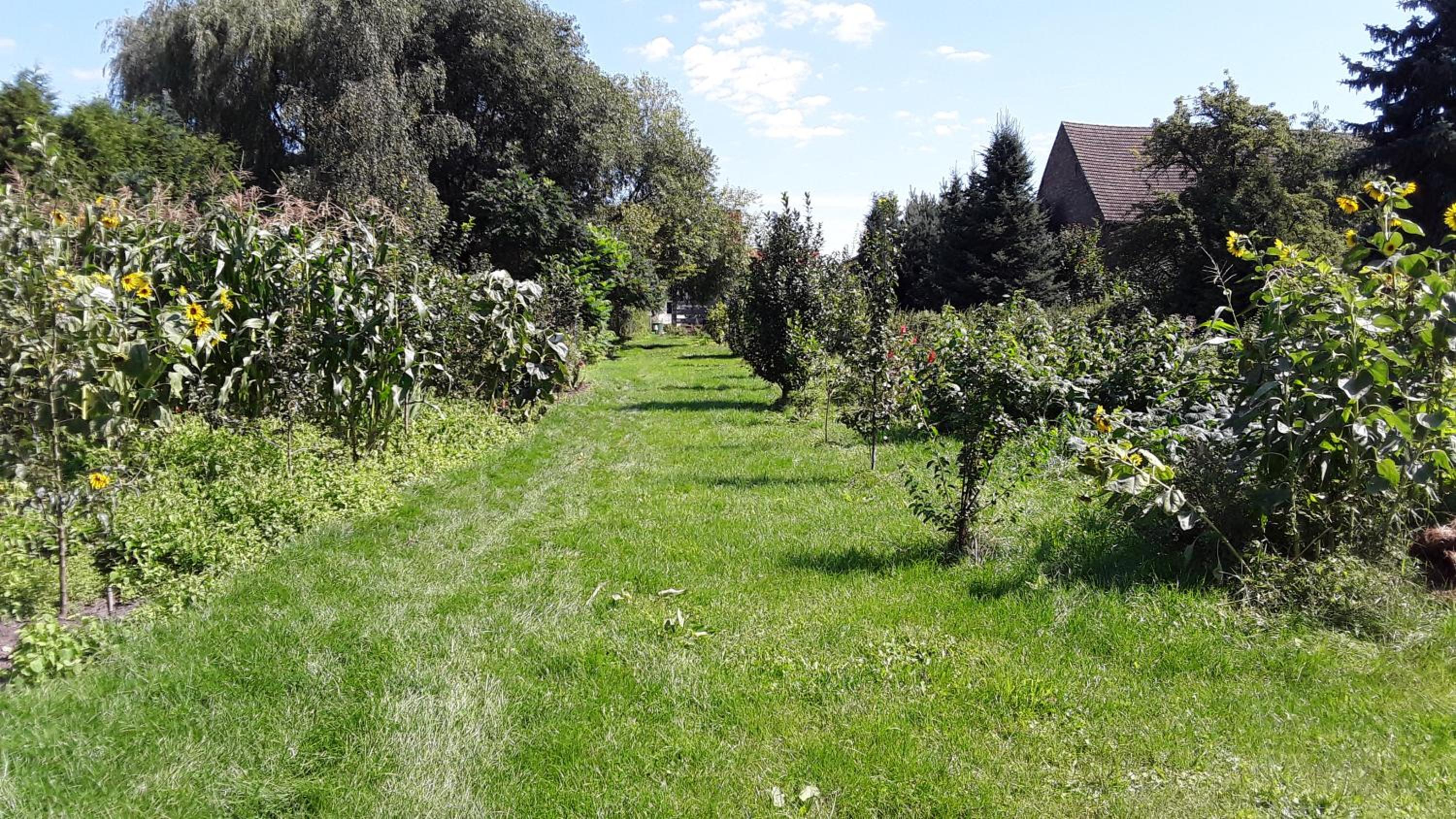 Pension Sommer Locktow - Property Image 12