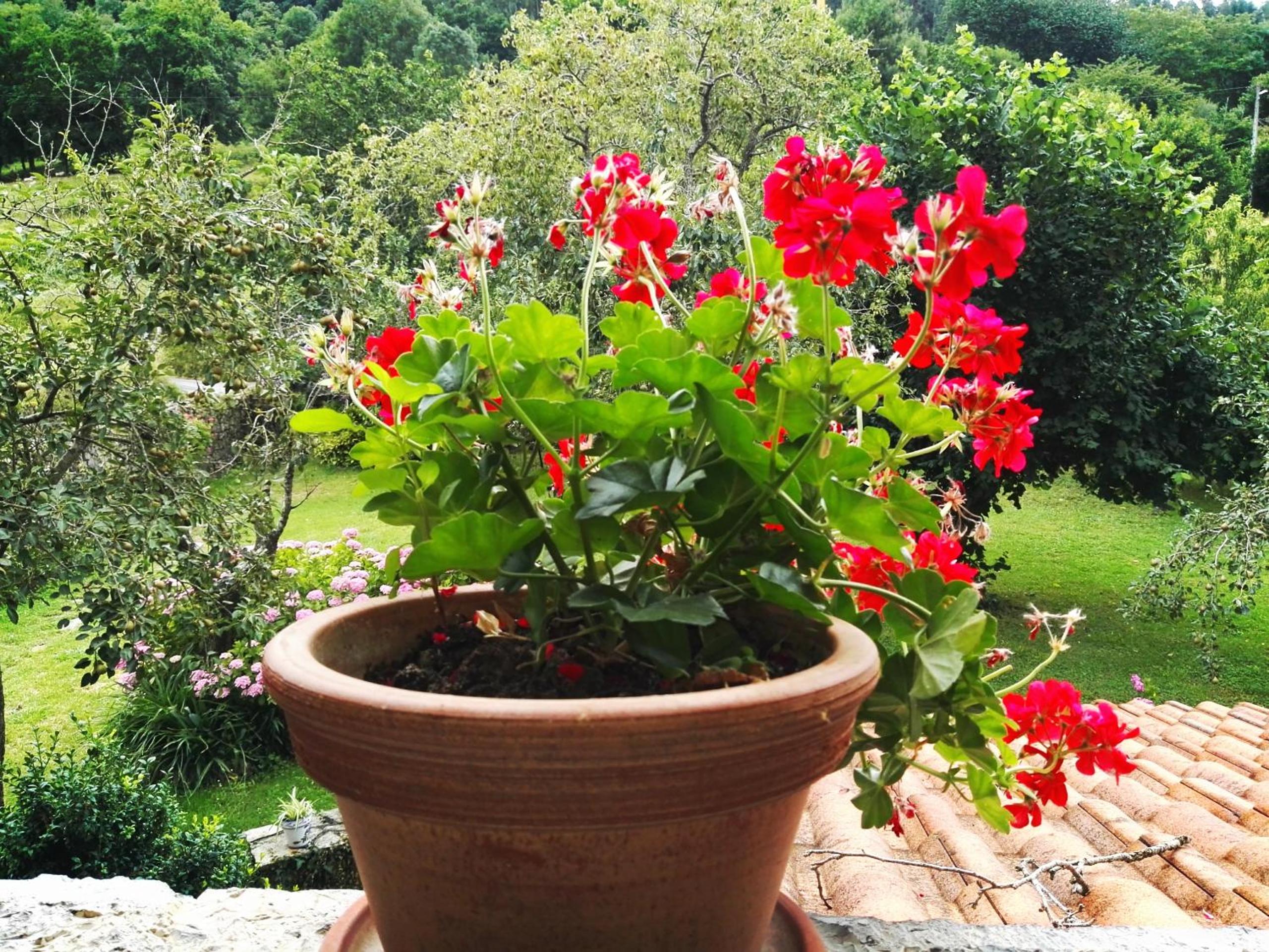 Finca Artienza