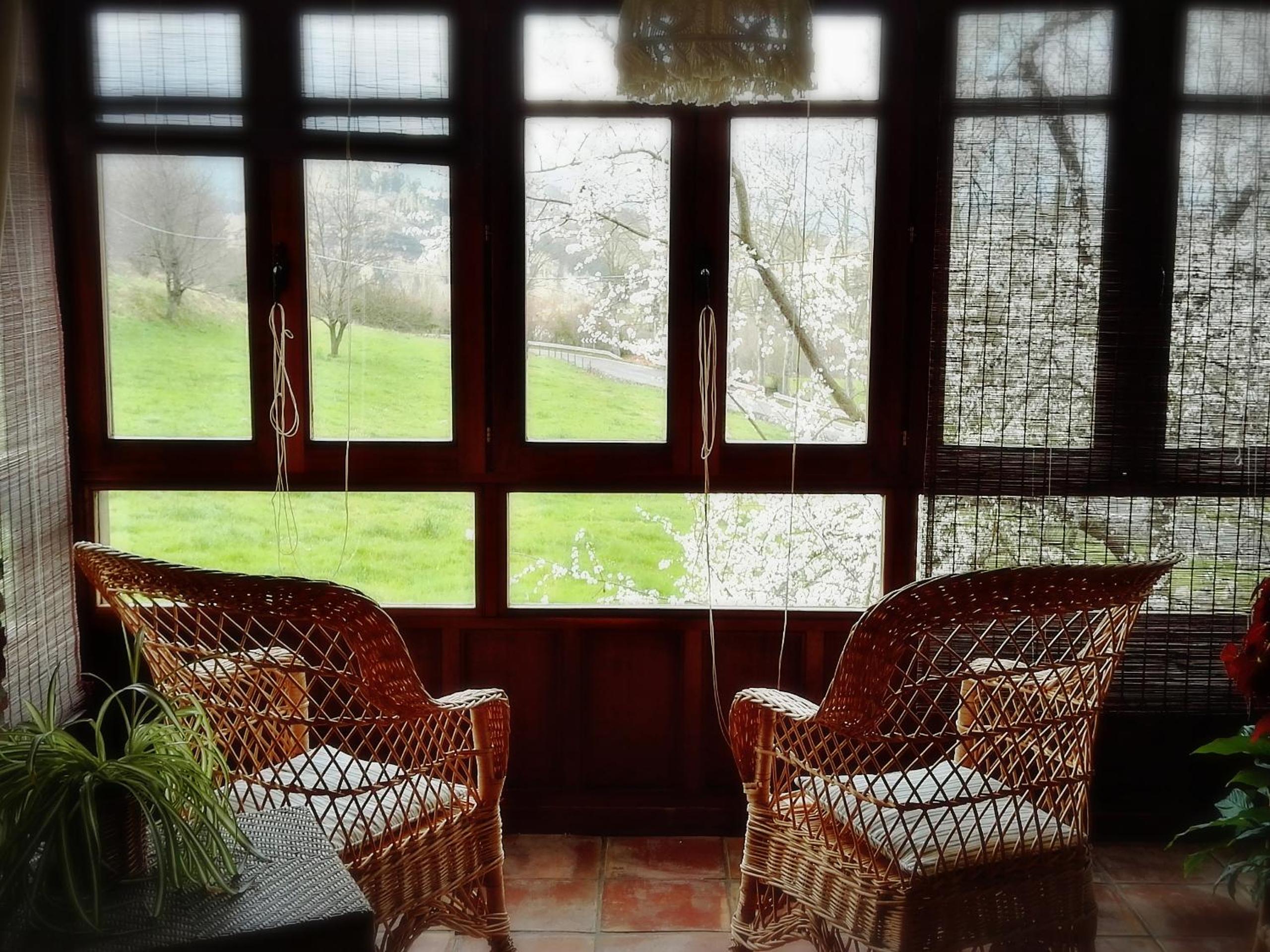 Finca Artienza