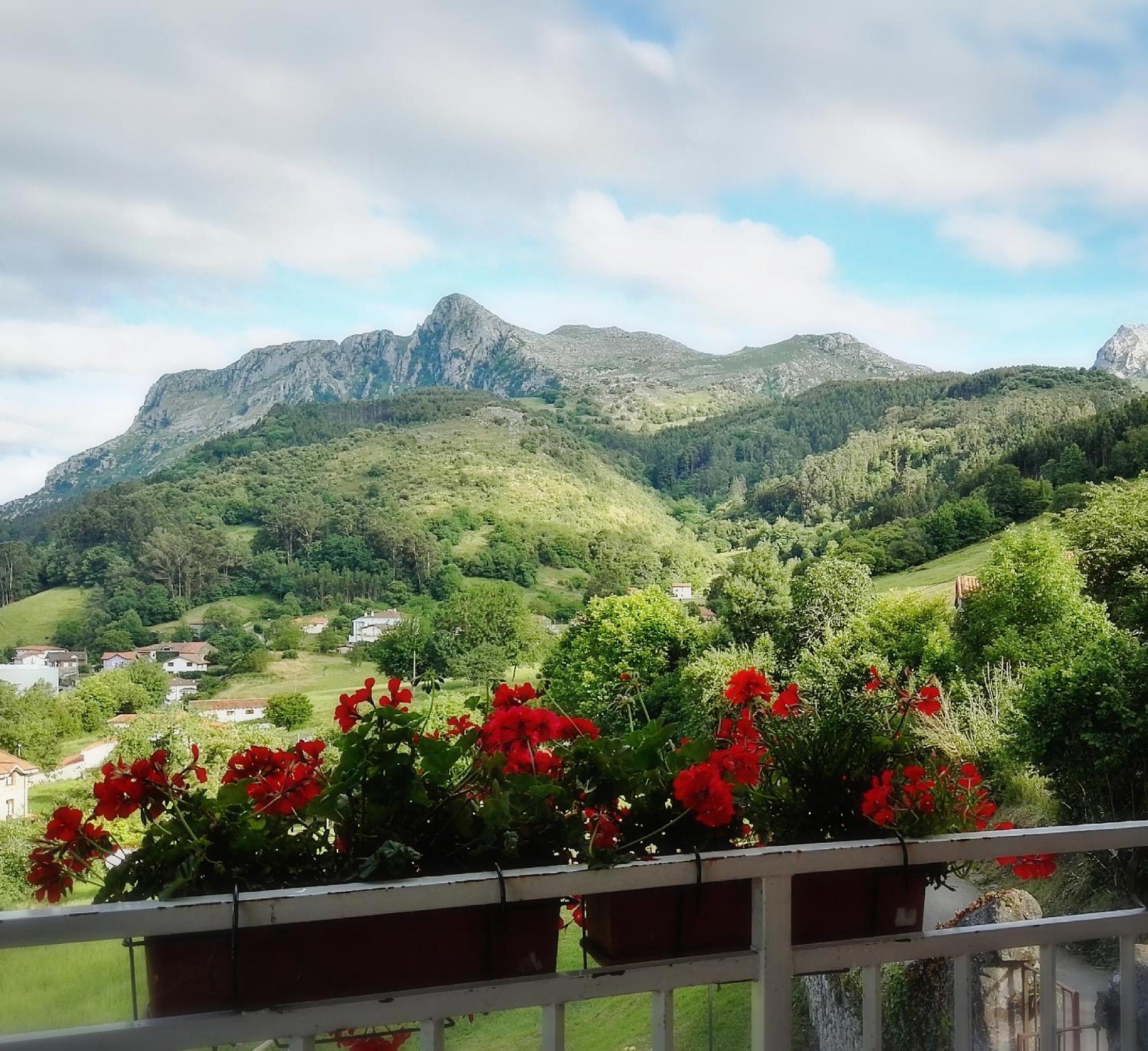 Finca Artienza