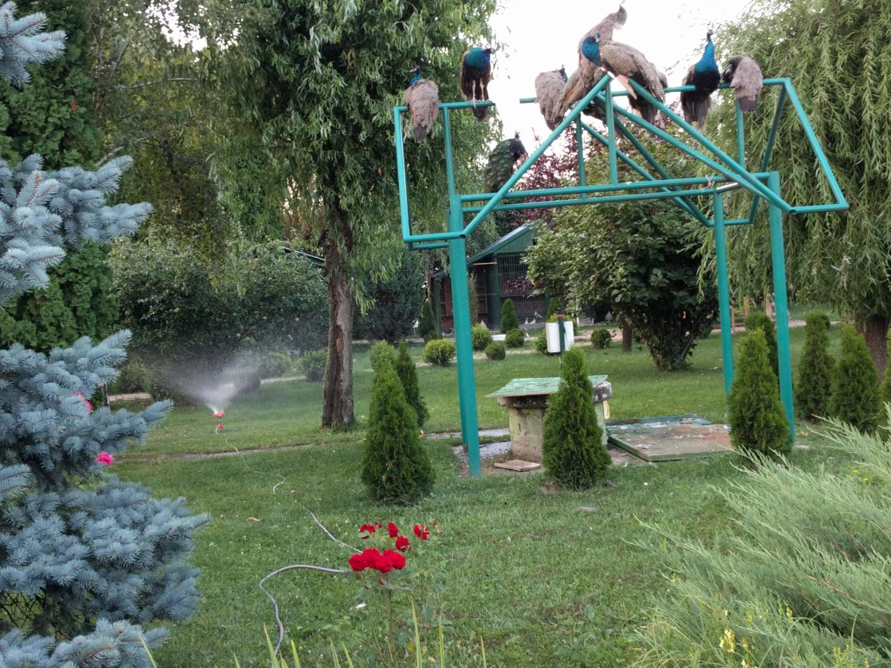 Photo 71