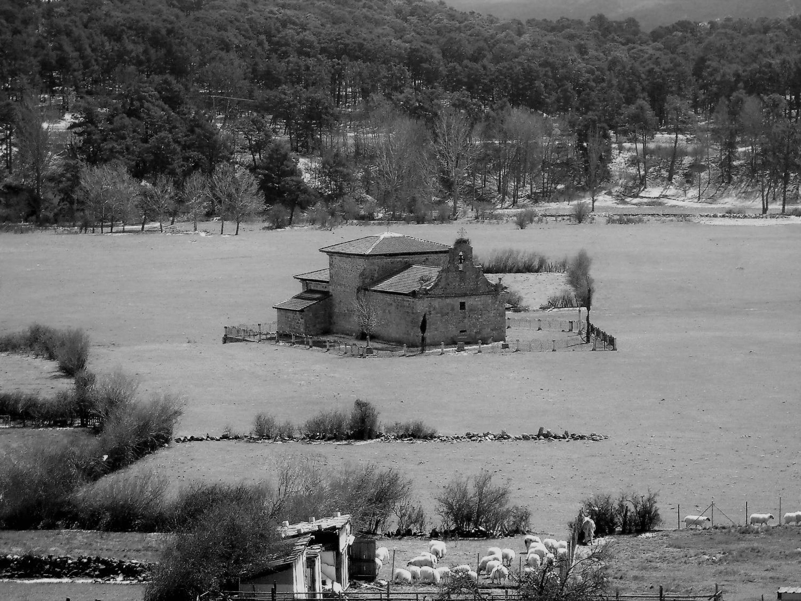 Posada Las Mayas