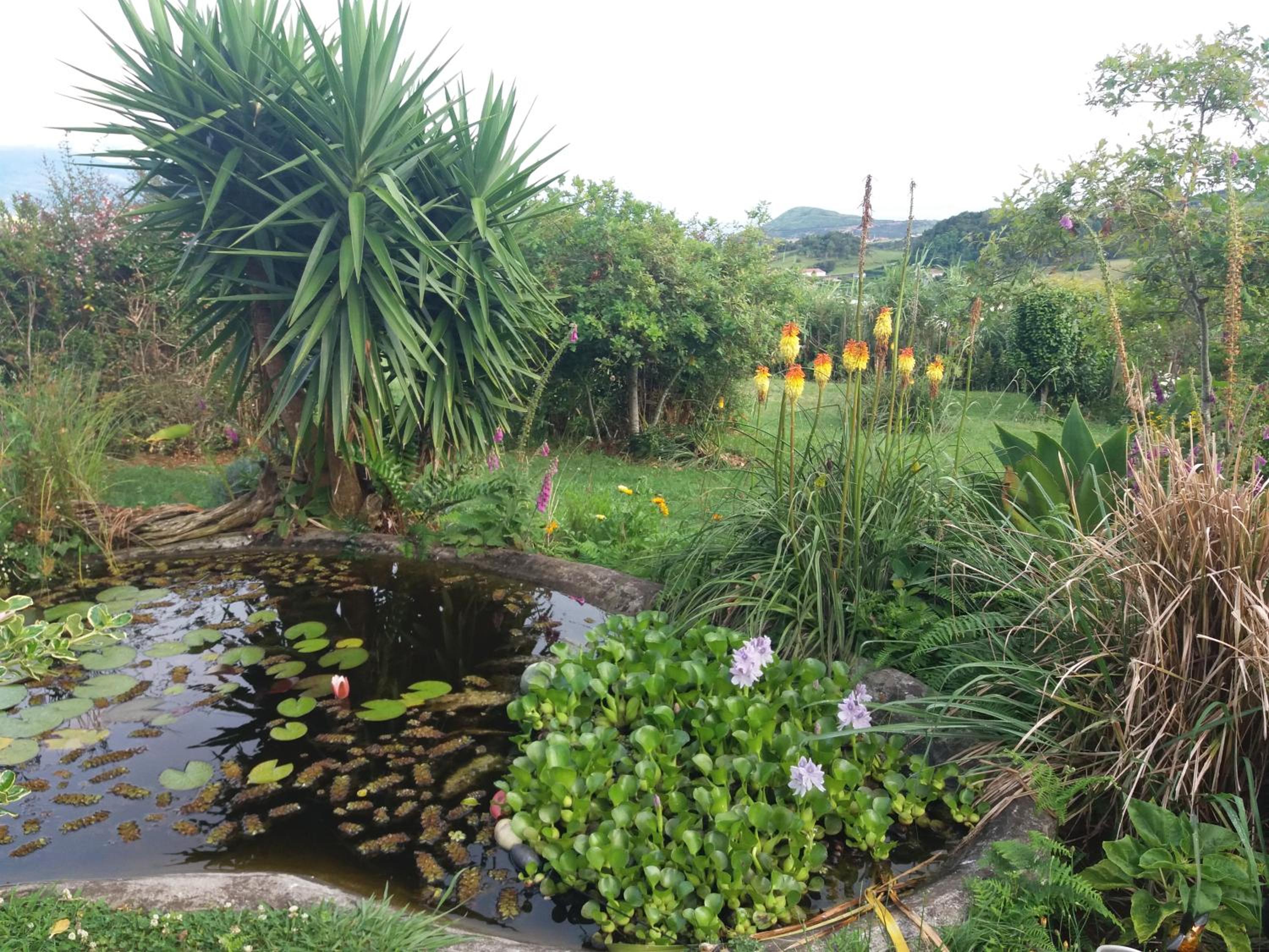 Casa Farrobo view 5