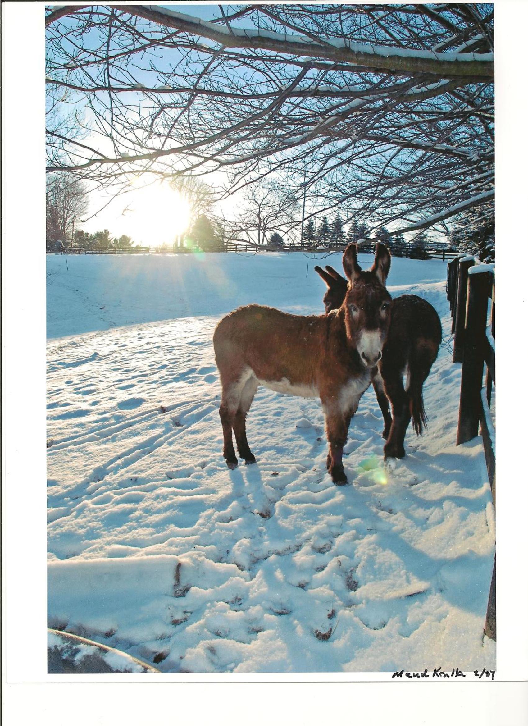 Villa Maud - Property Image 18