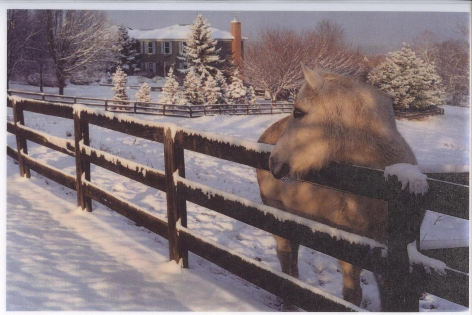 Villa Maud - Property Image 17