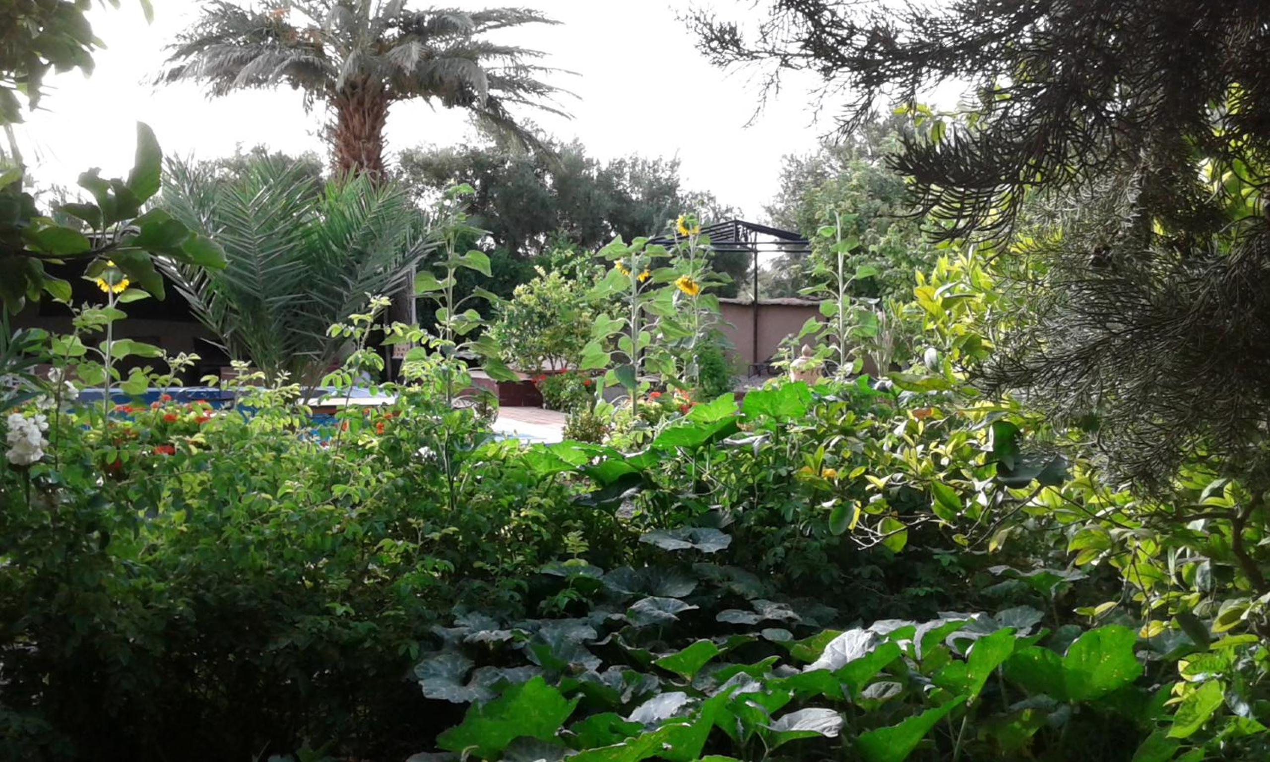 Photo 43