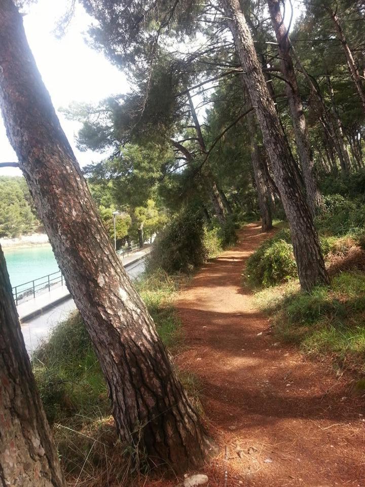 Photo 57