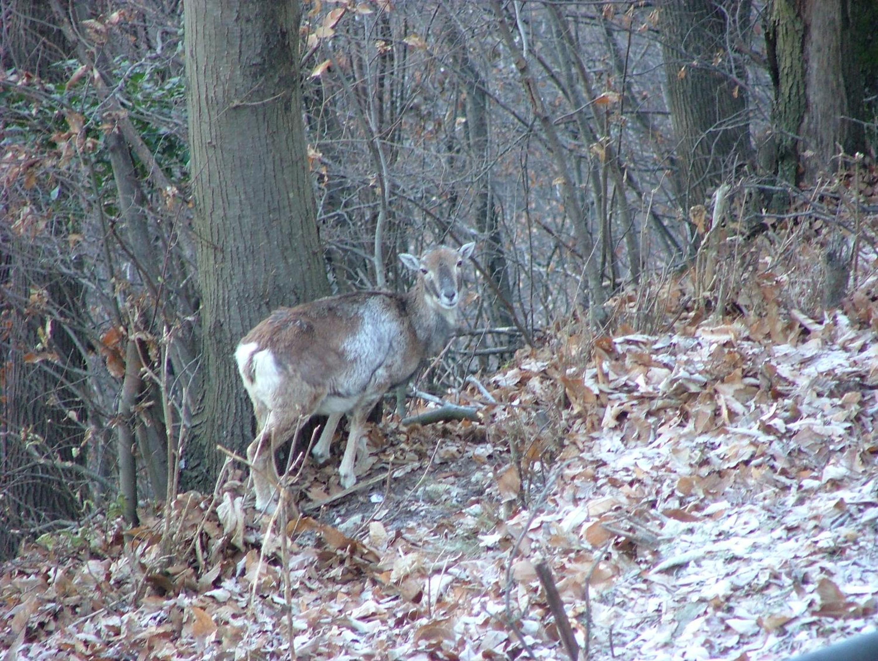 Photo 22