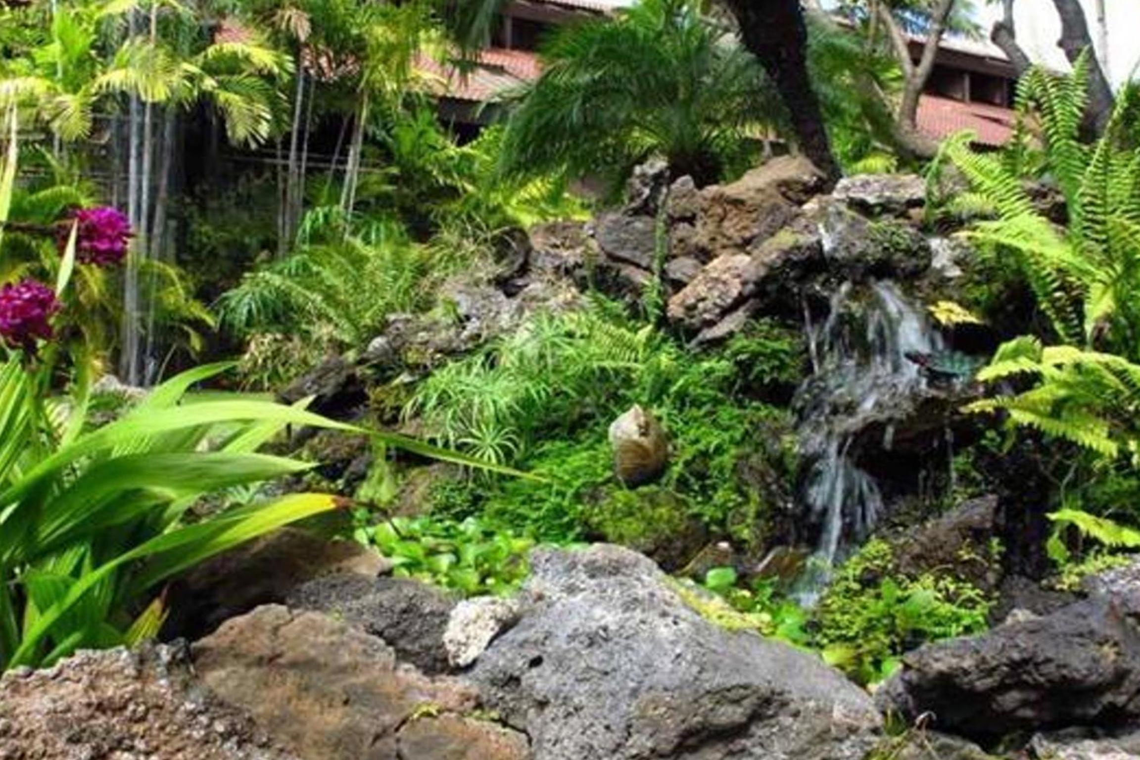 Maui Tranquility view 4