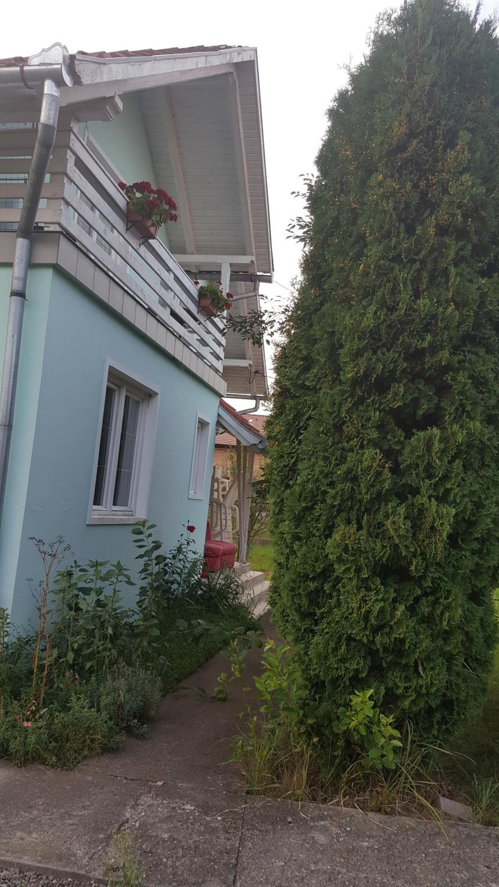 Photo 31