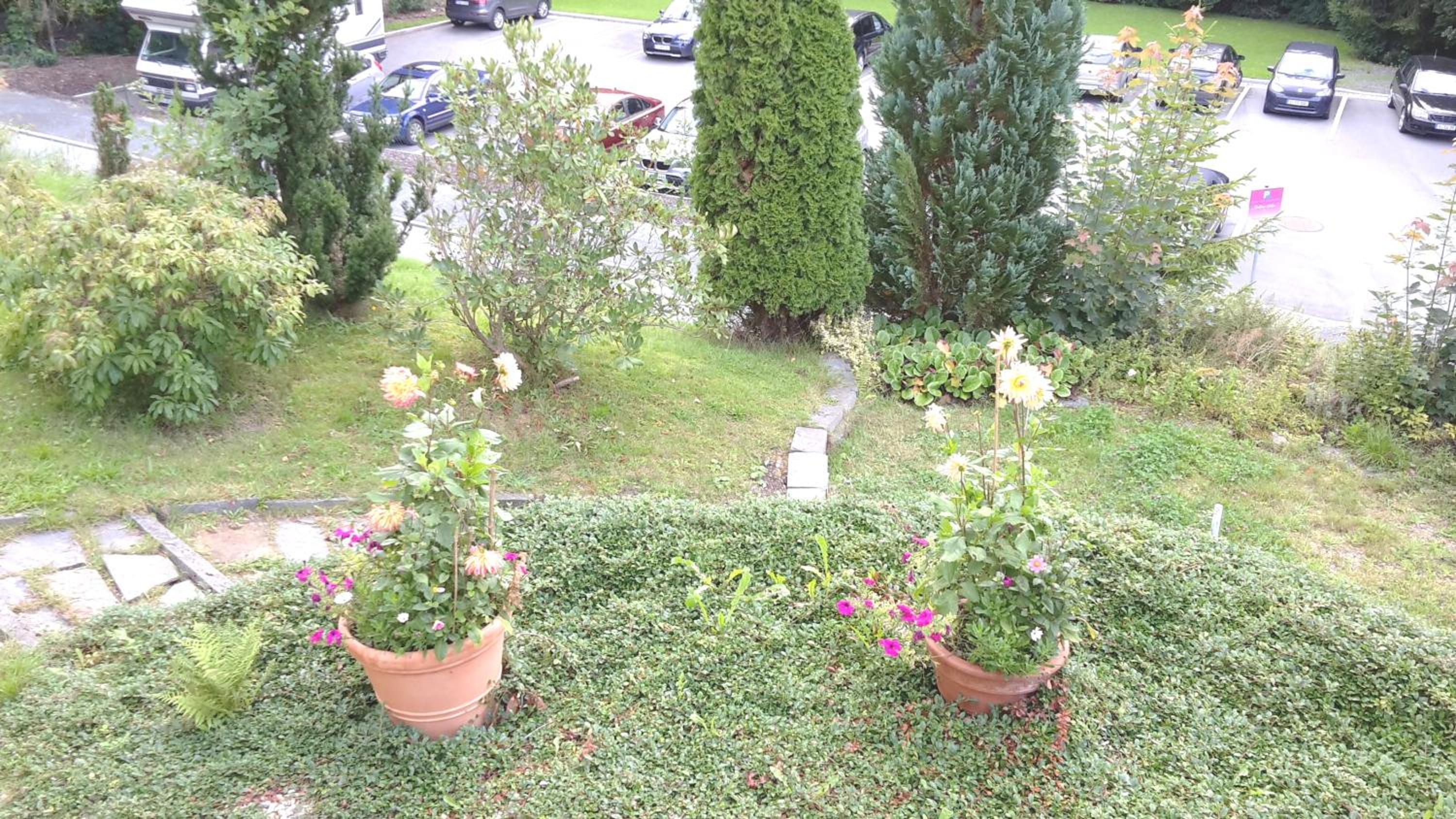 Ferienwohnungen Villa Goldbrunnen view 4
