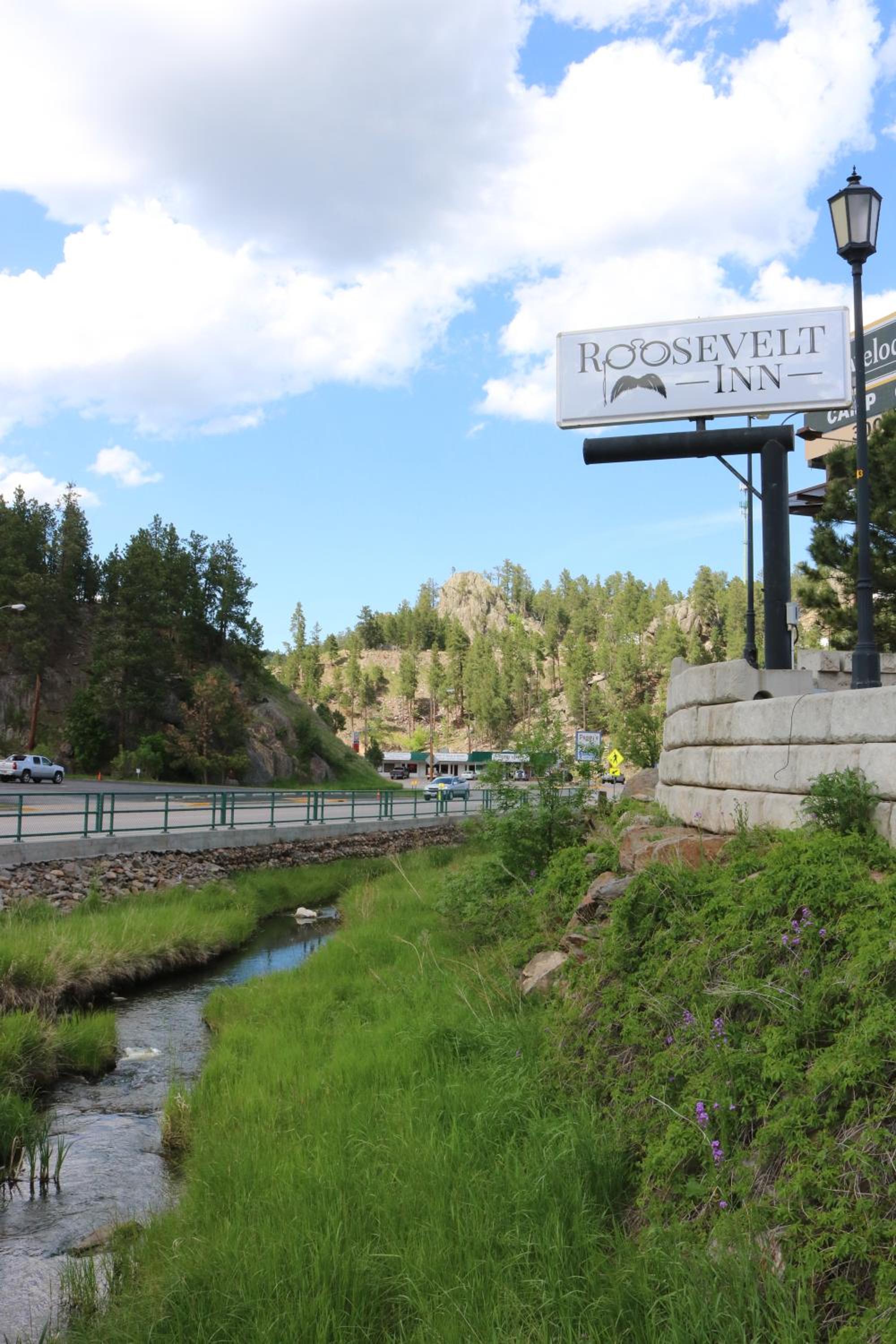 Roosevelt Inn Mount Rushmore