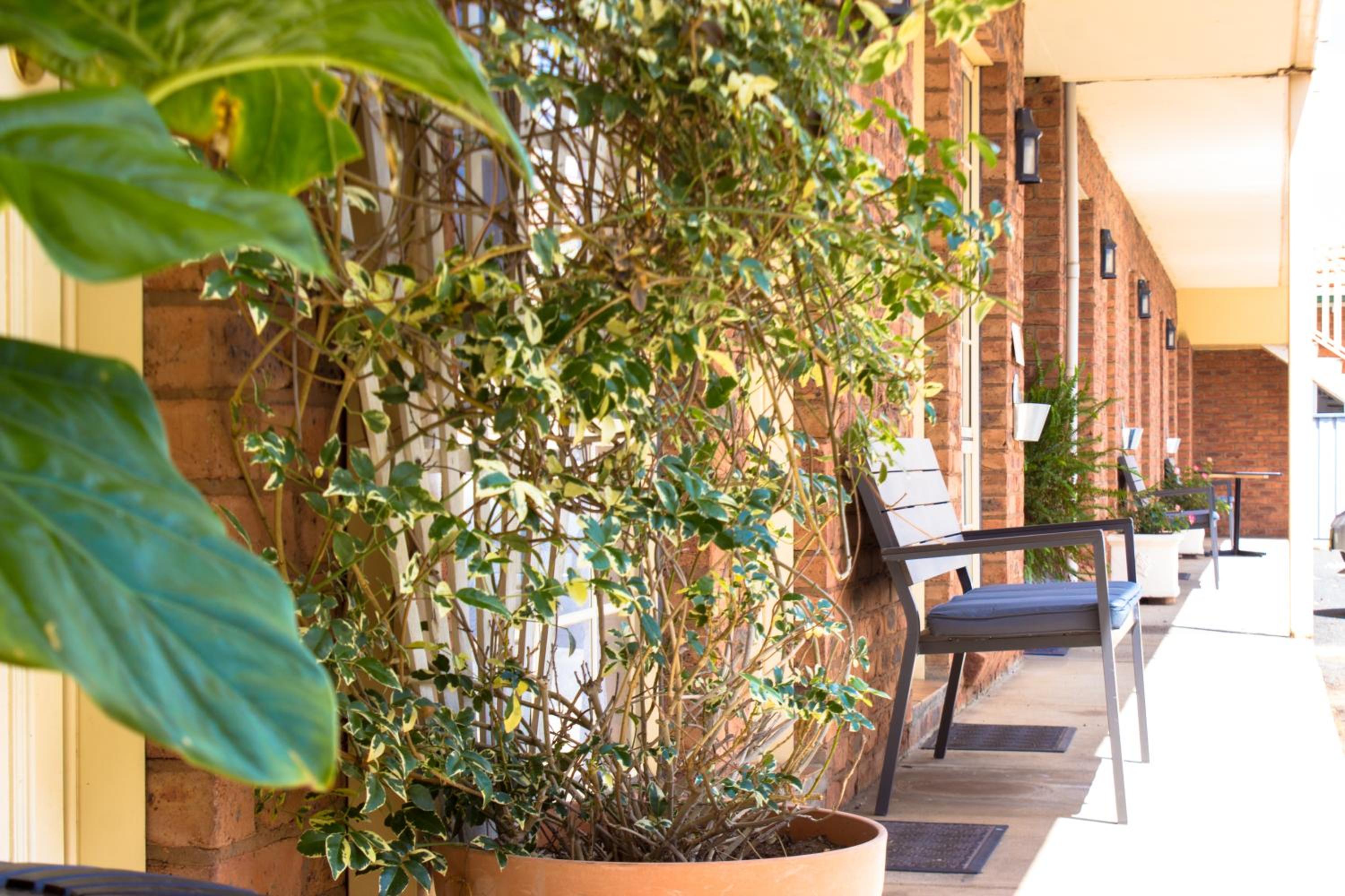 Shearing Shed Motor Inn