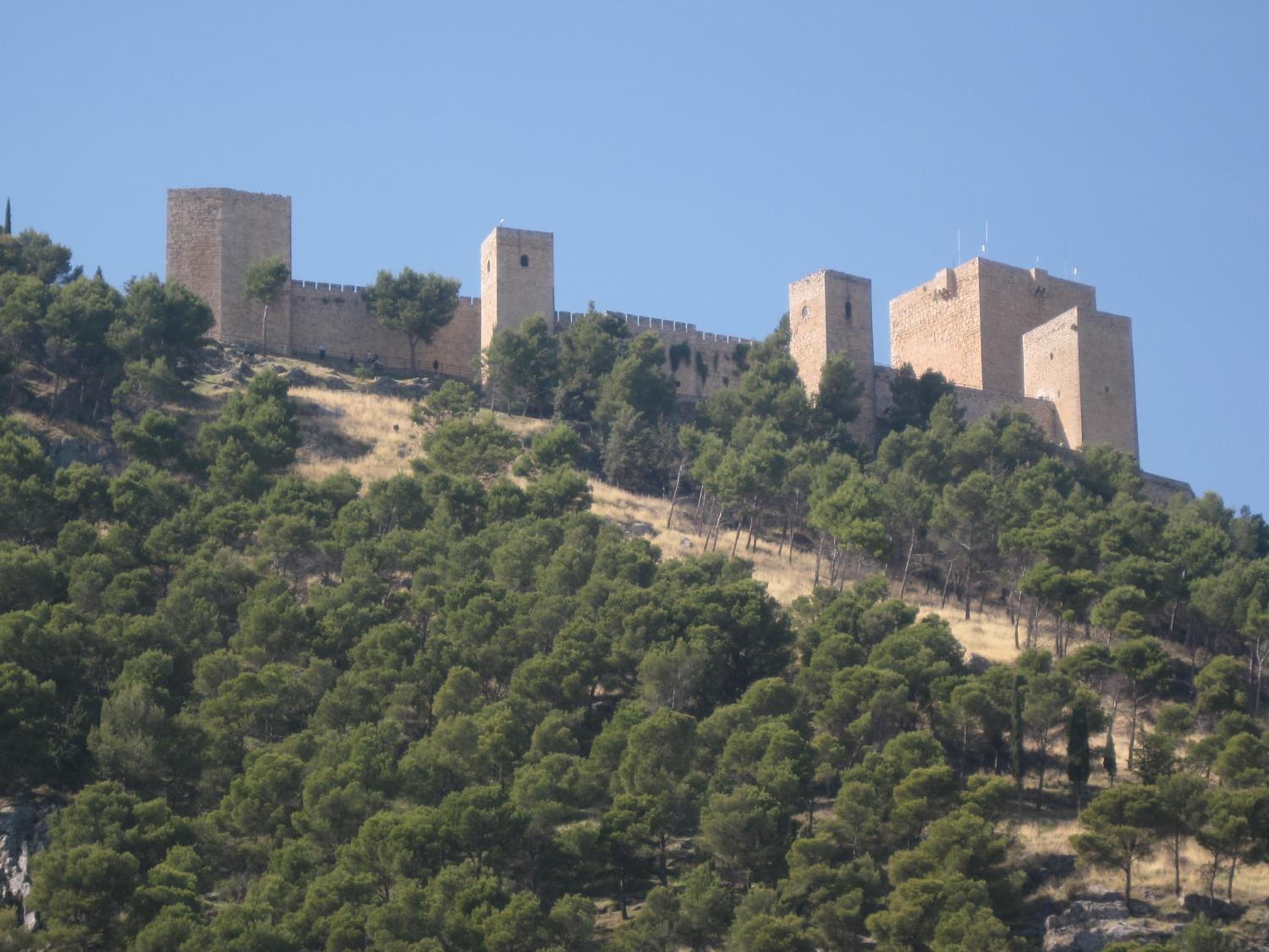 Pensión Martín view 3