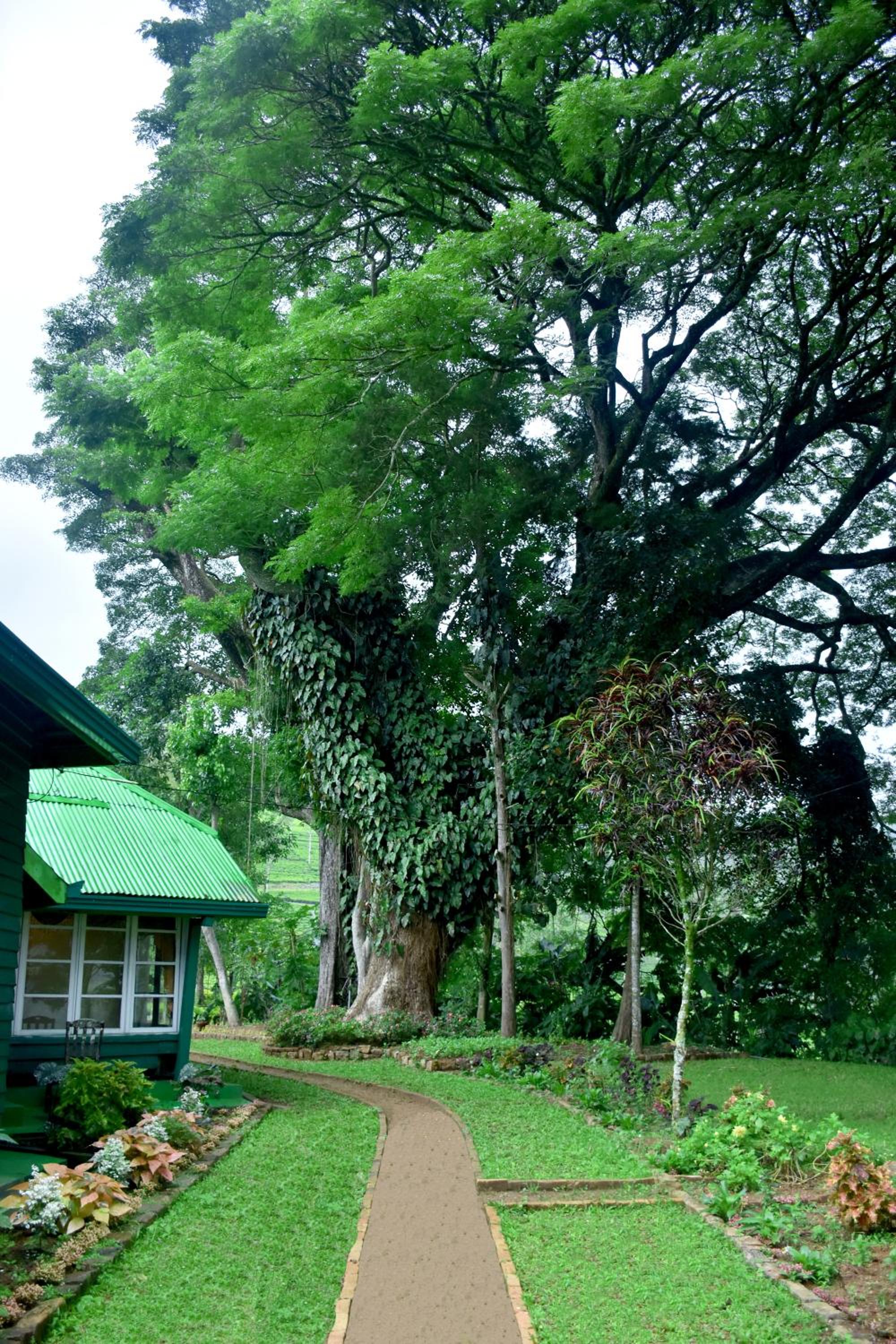 Royal Majesty Bungalow