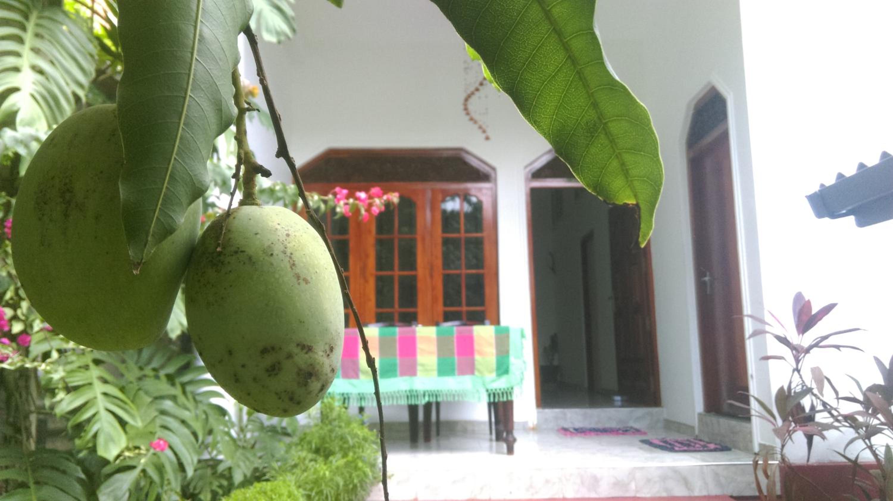 Aluthgedara Guest House