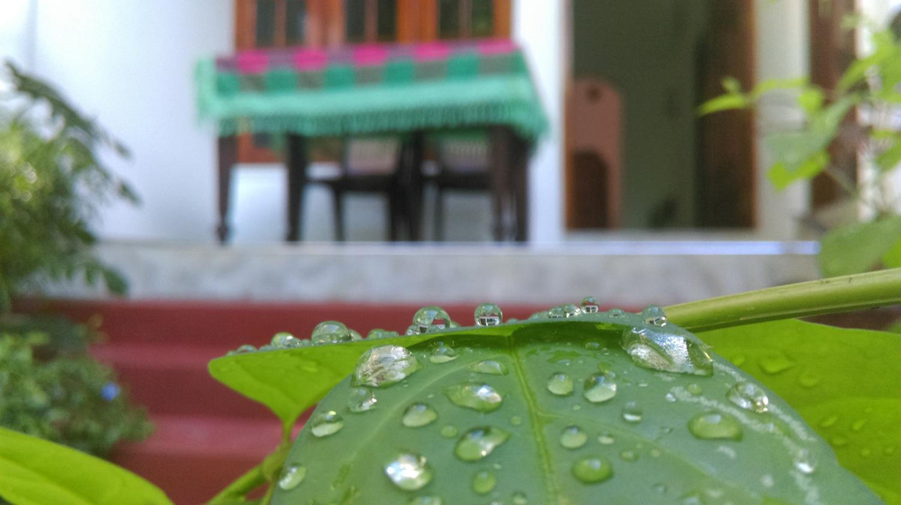 Aluthgedara Guest House
