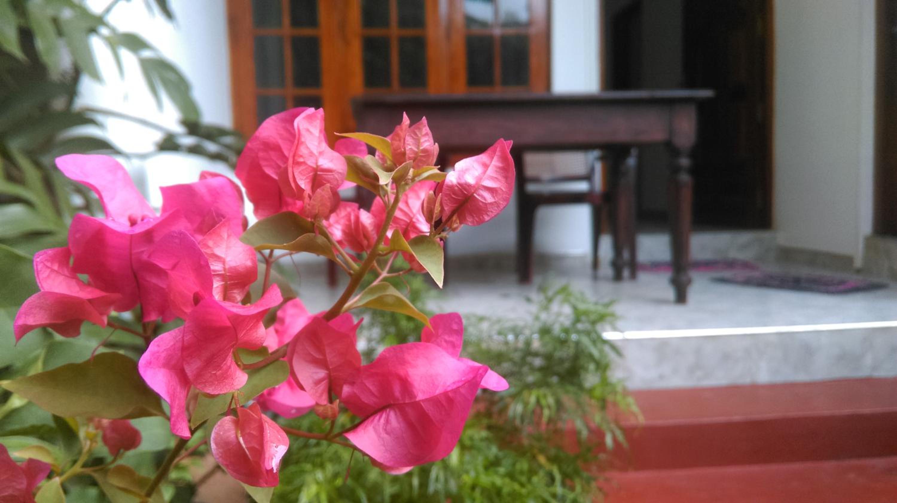 Aluthgedara Guest House