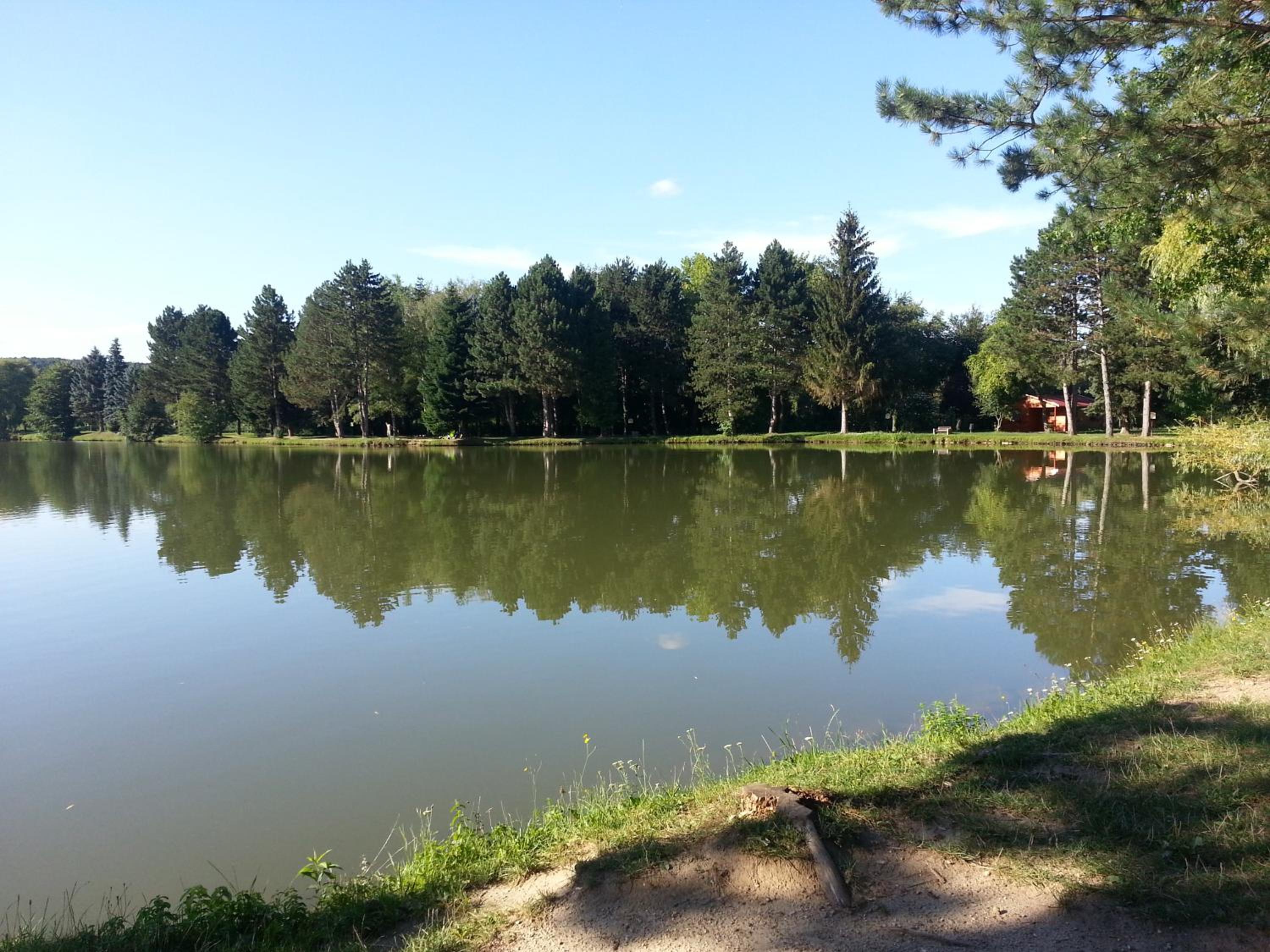 Borostyán Vendégház view 5