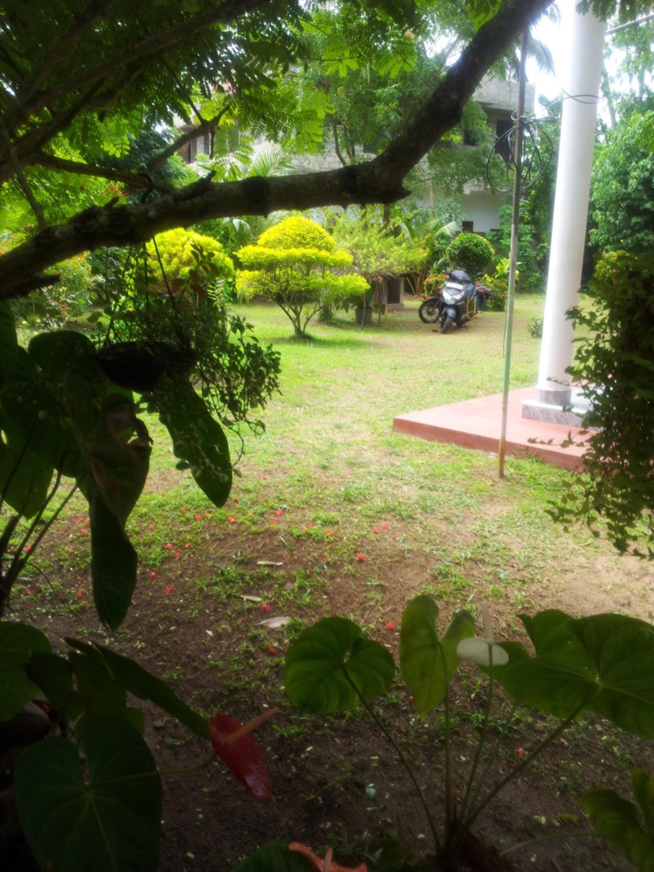 Photo 42