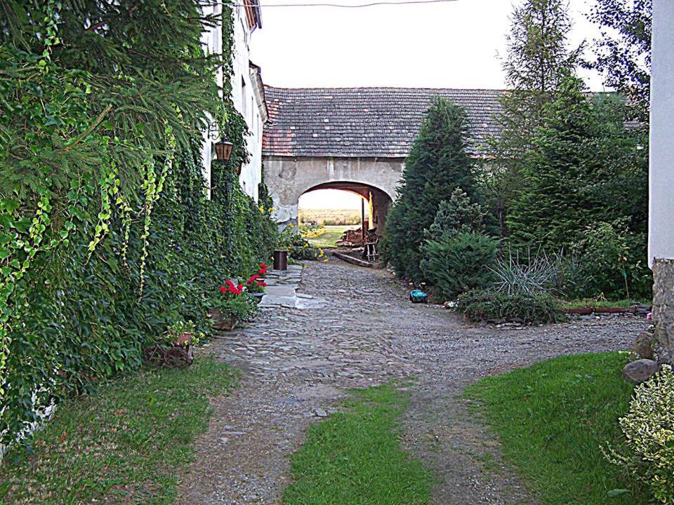 Photo 26