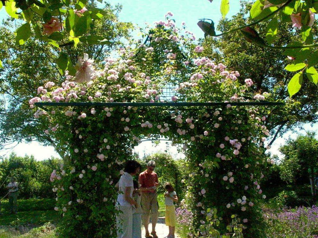 Ferienwohnung Bella Rosa