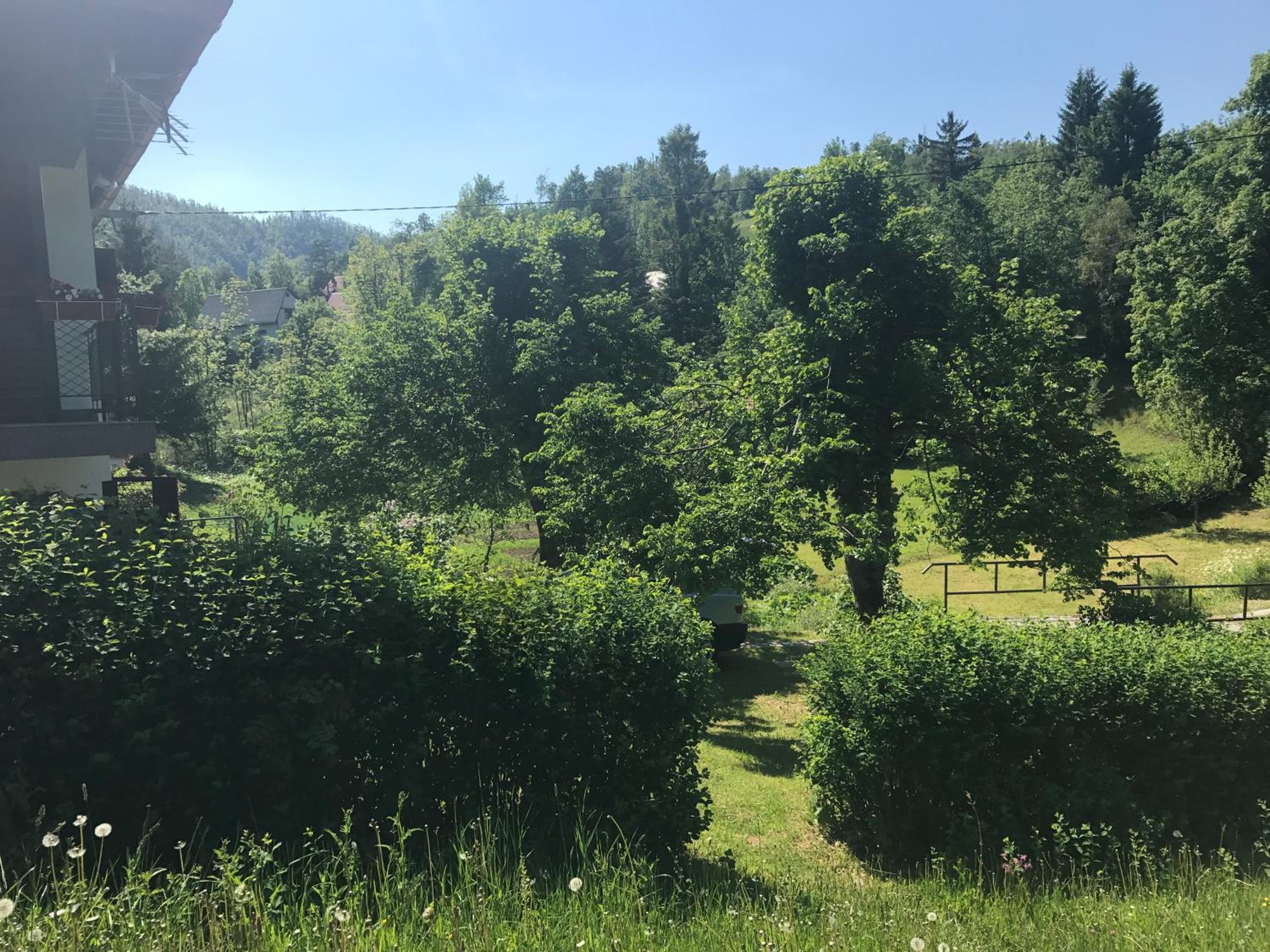 Photo 23