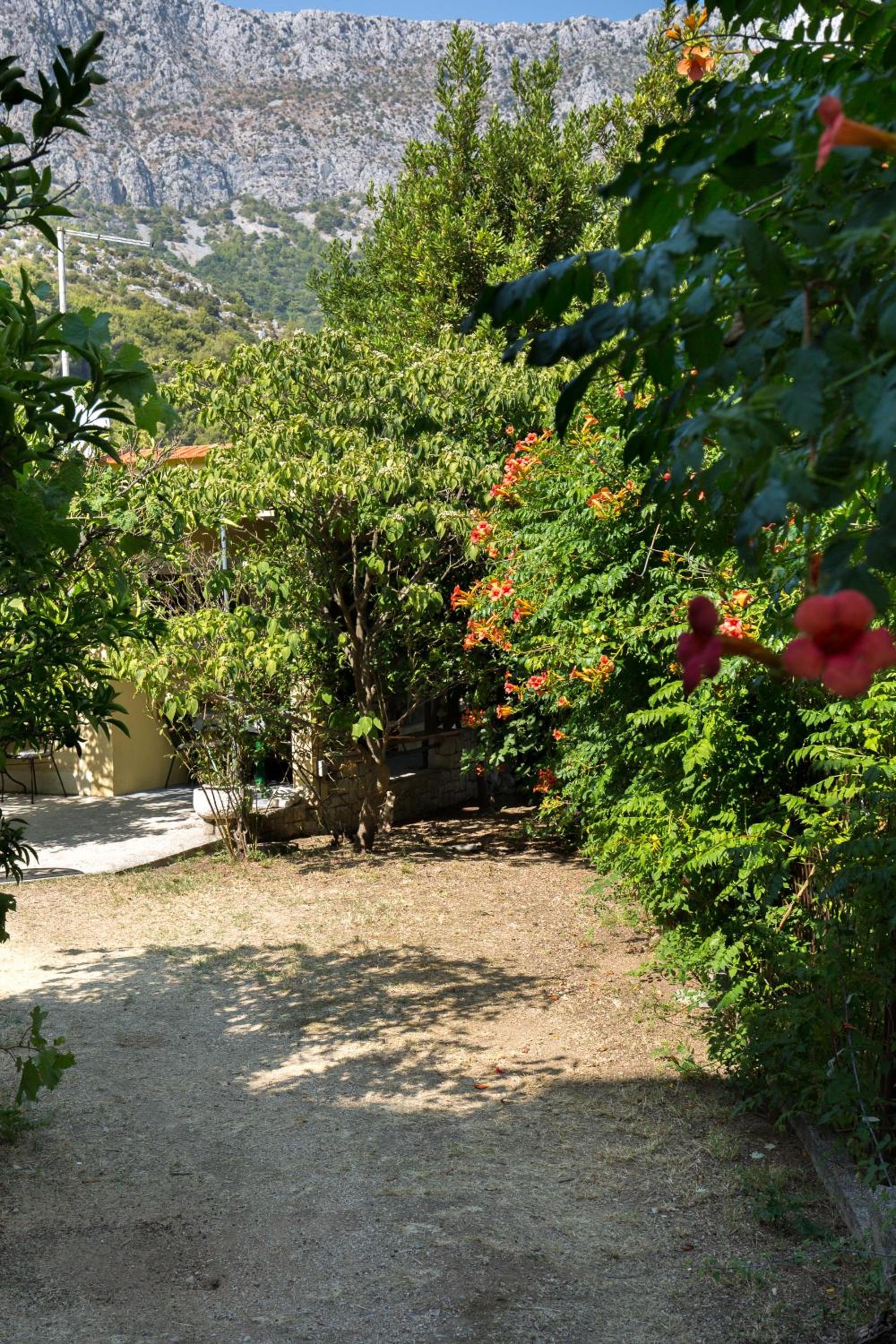 Holiday Home Jovis view 4