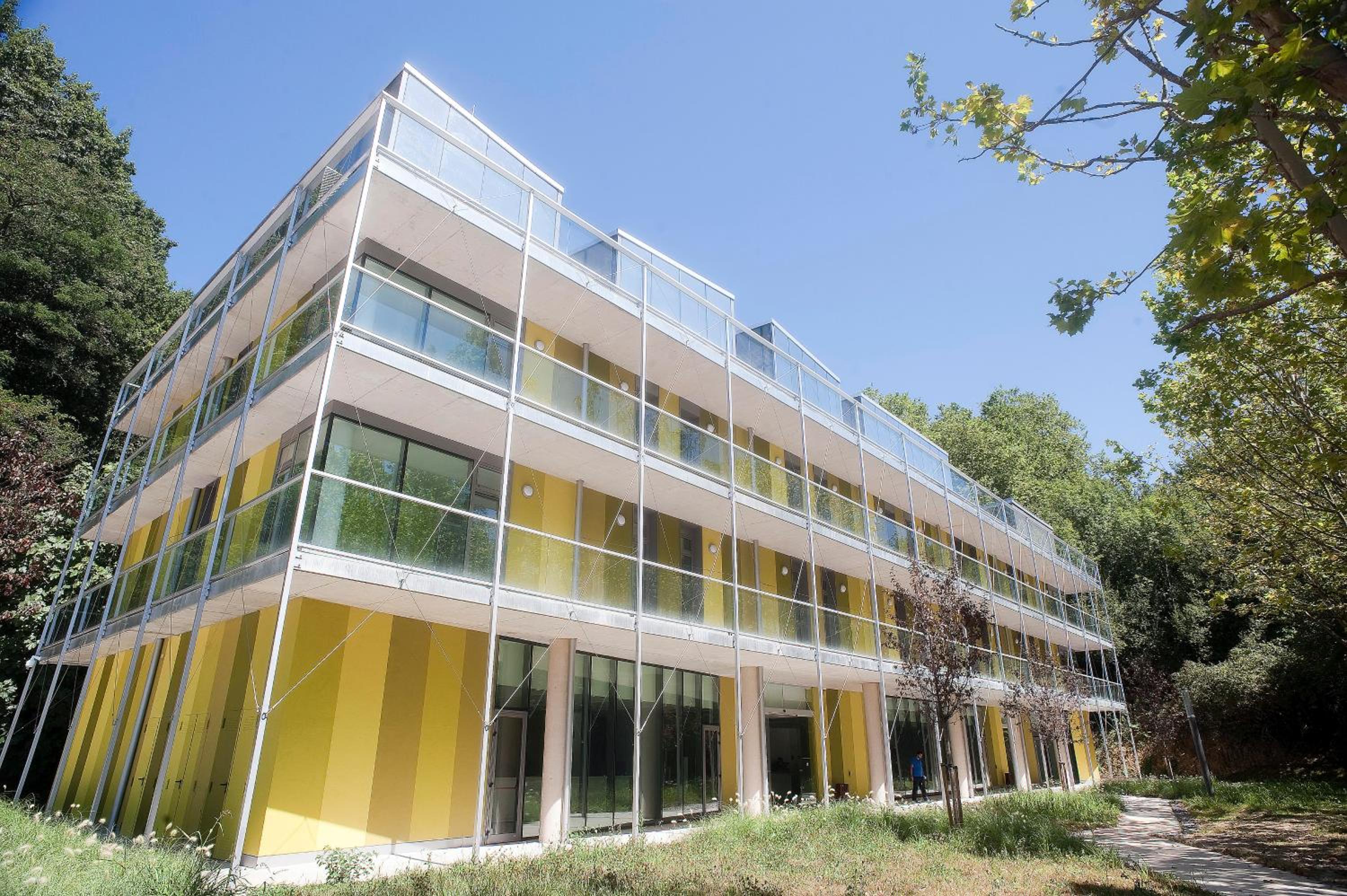 building