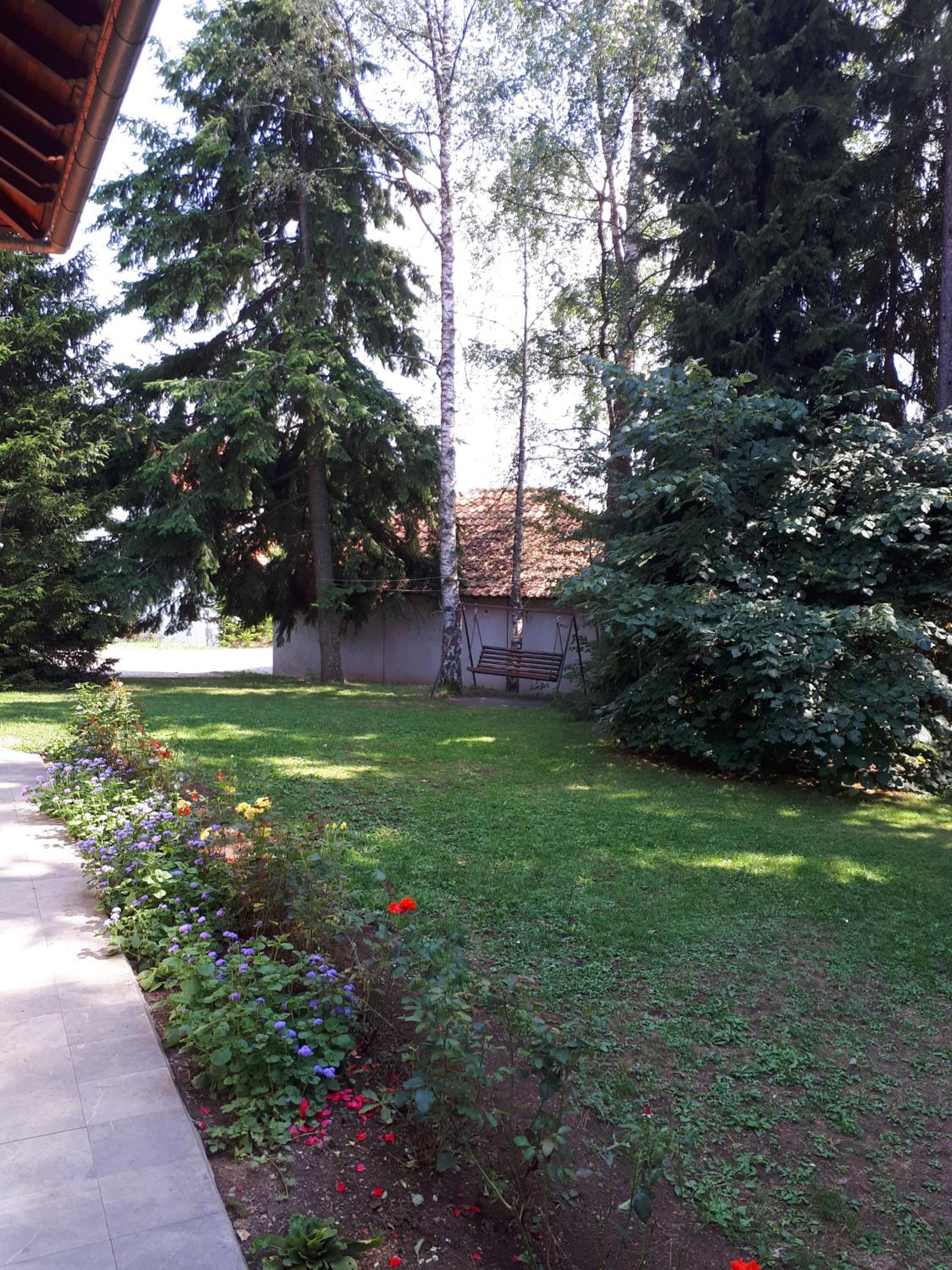 Photo 10