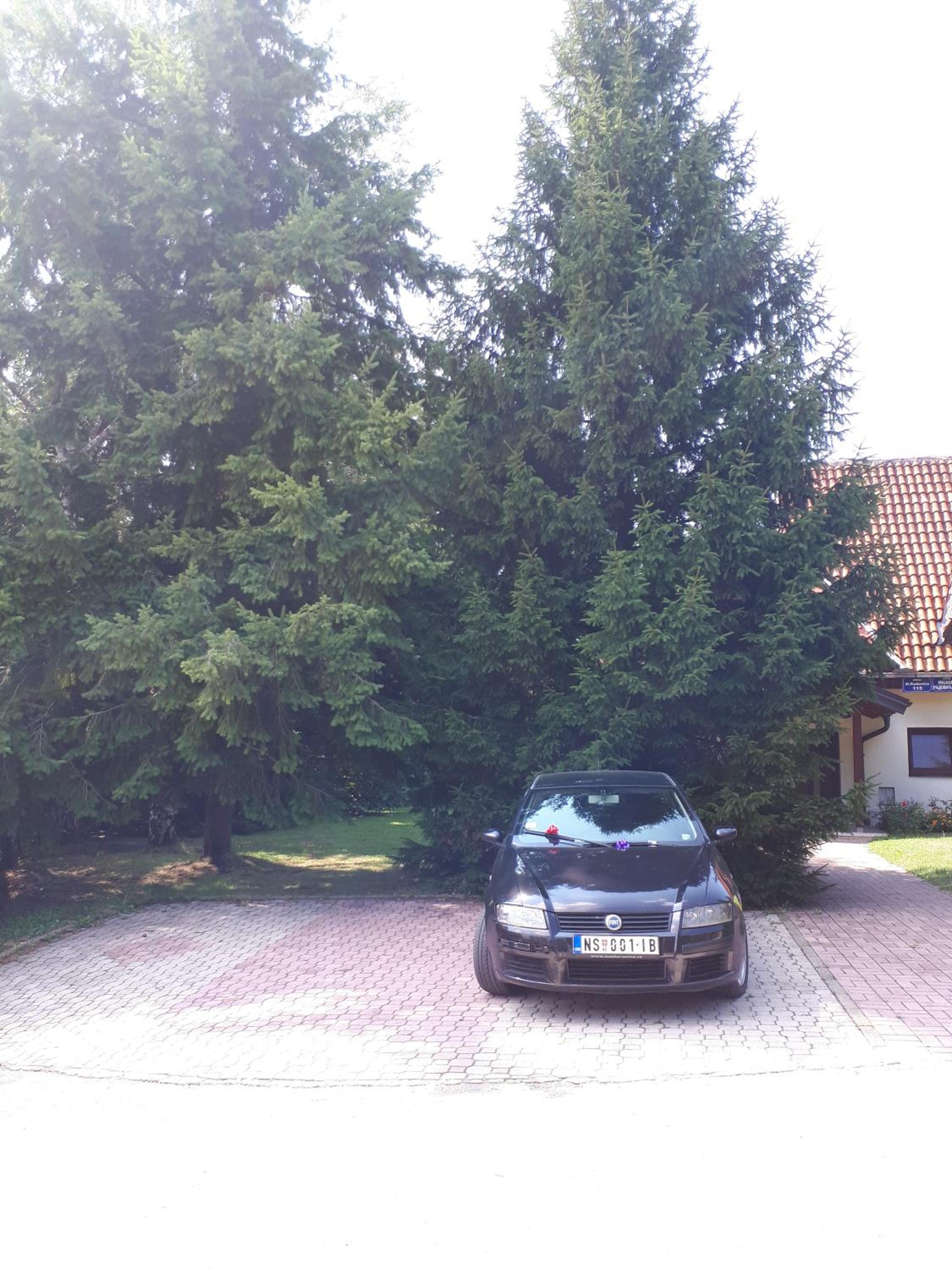 Apartmani U Borovoj Šumi view 4