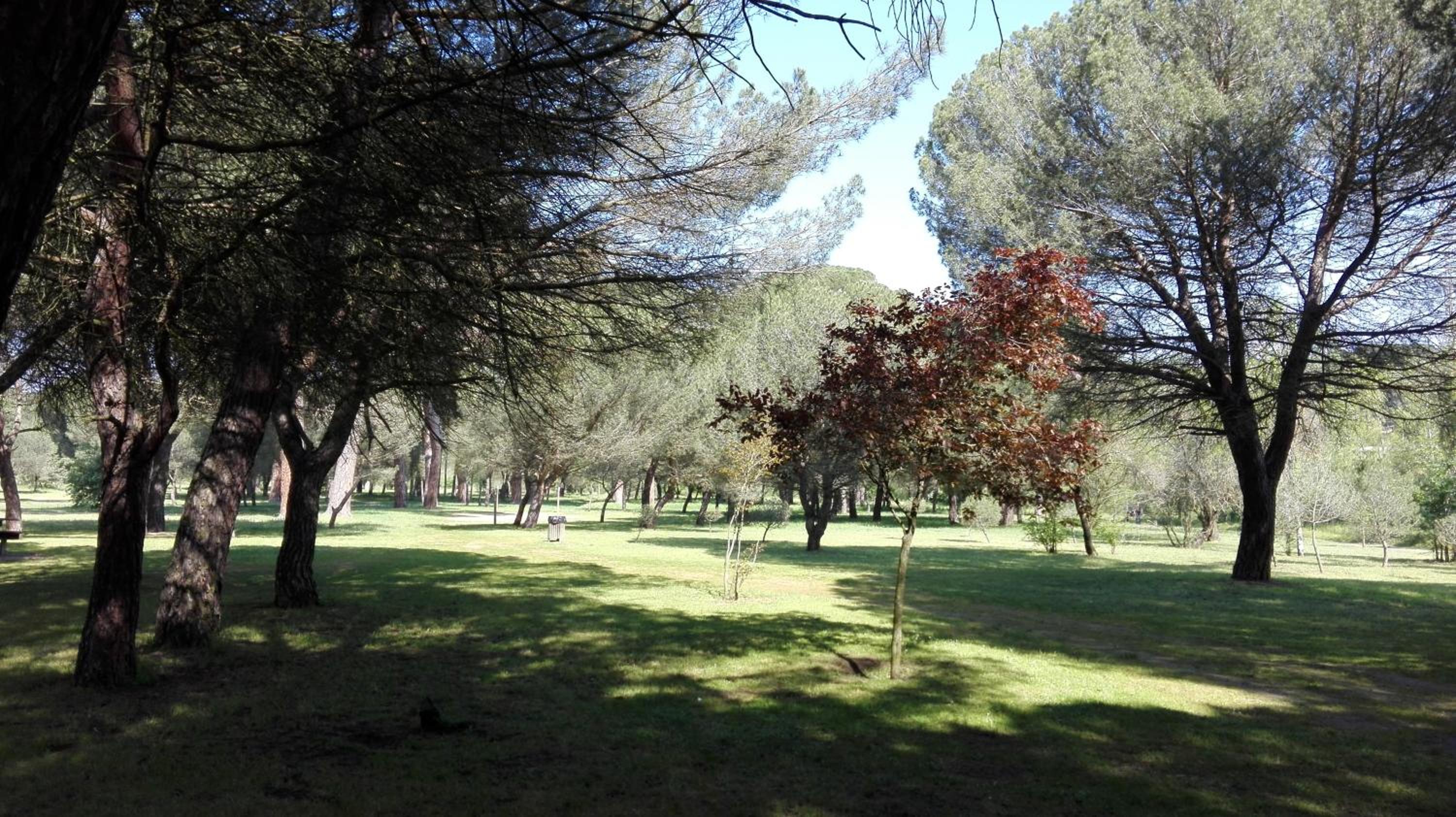 Zamora Apartments view 3
