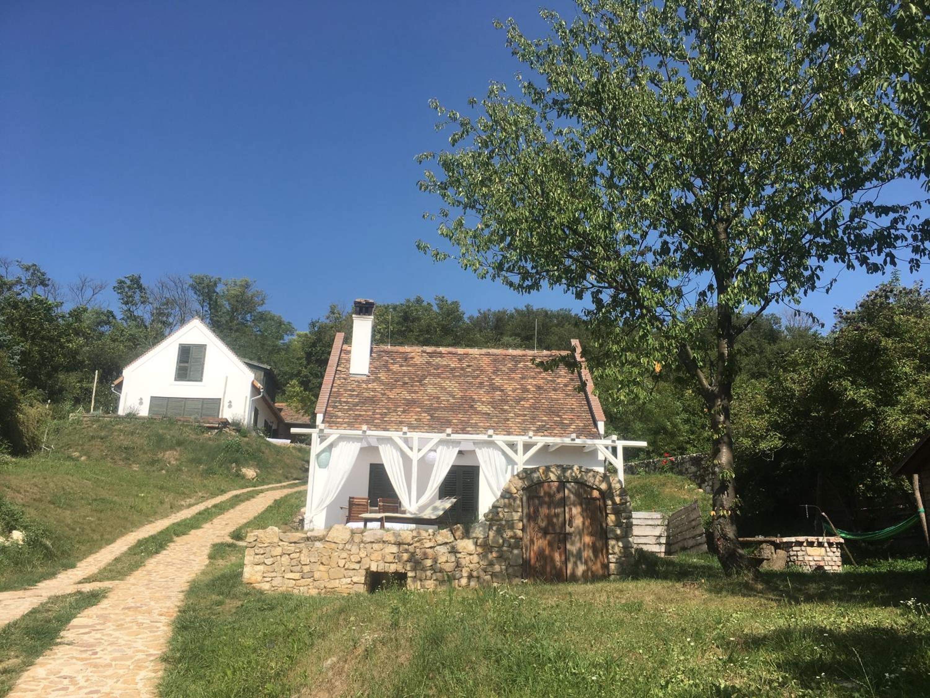Photo 19