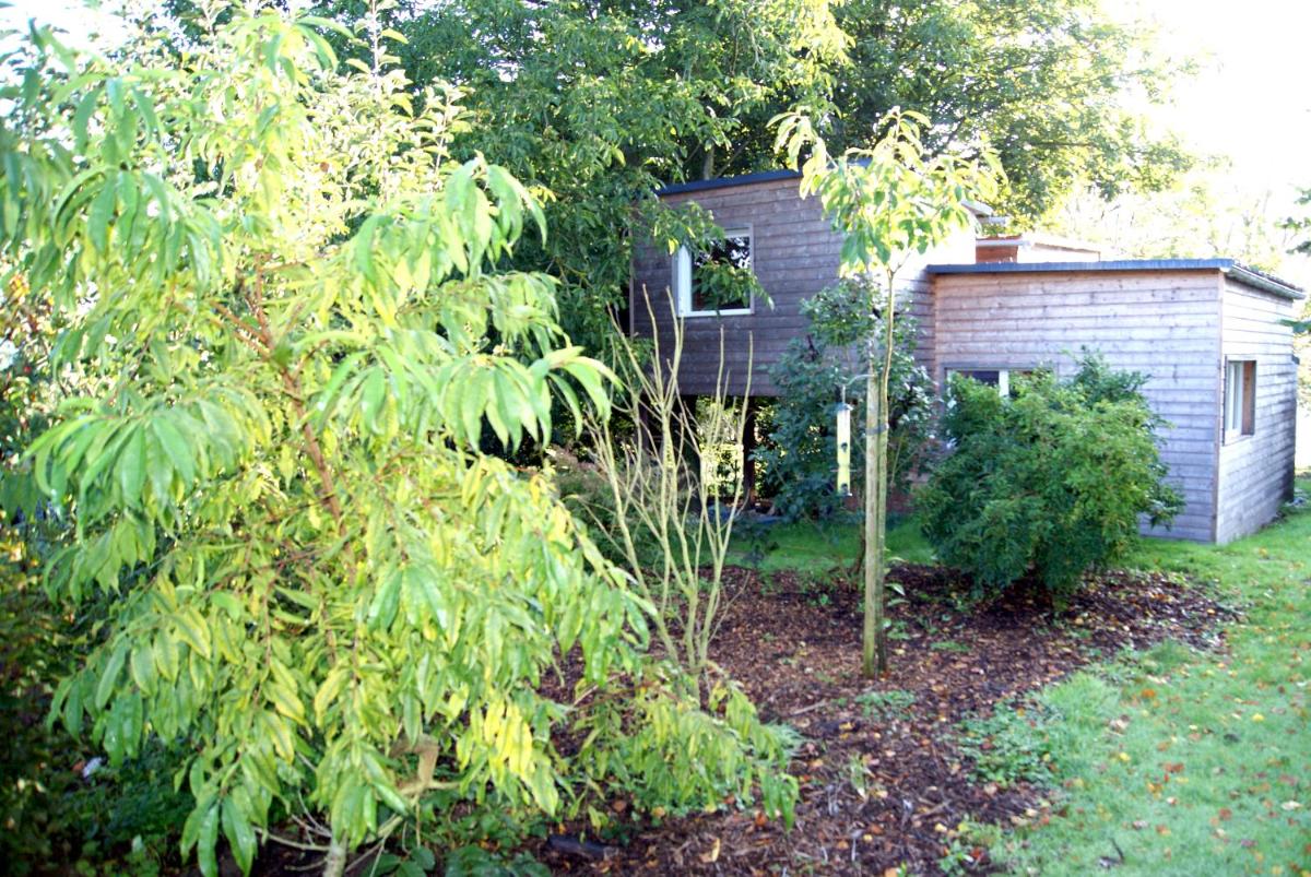 Photo 11