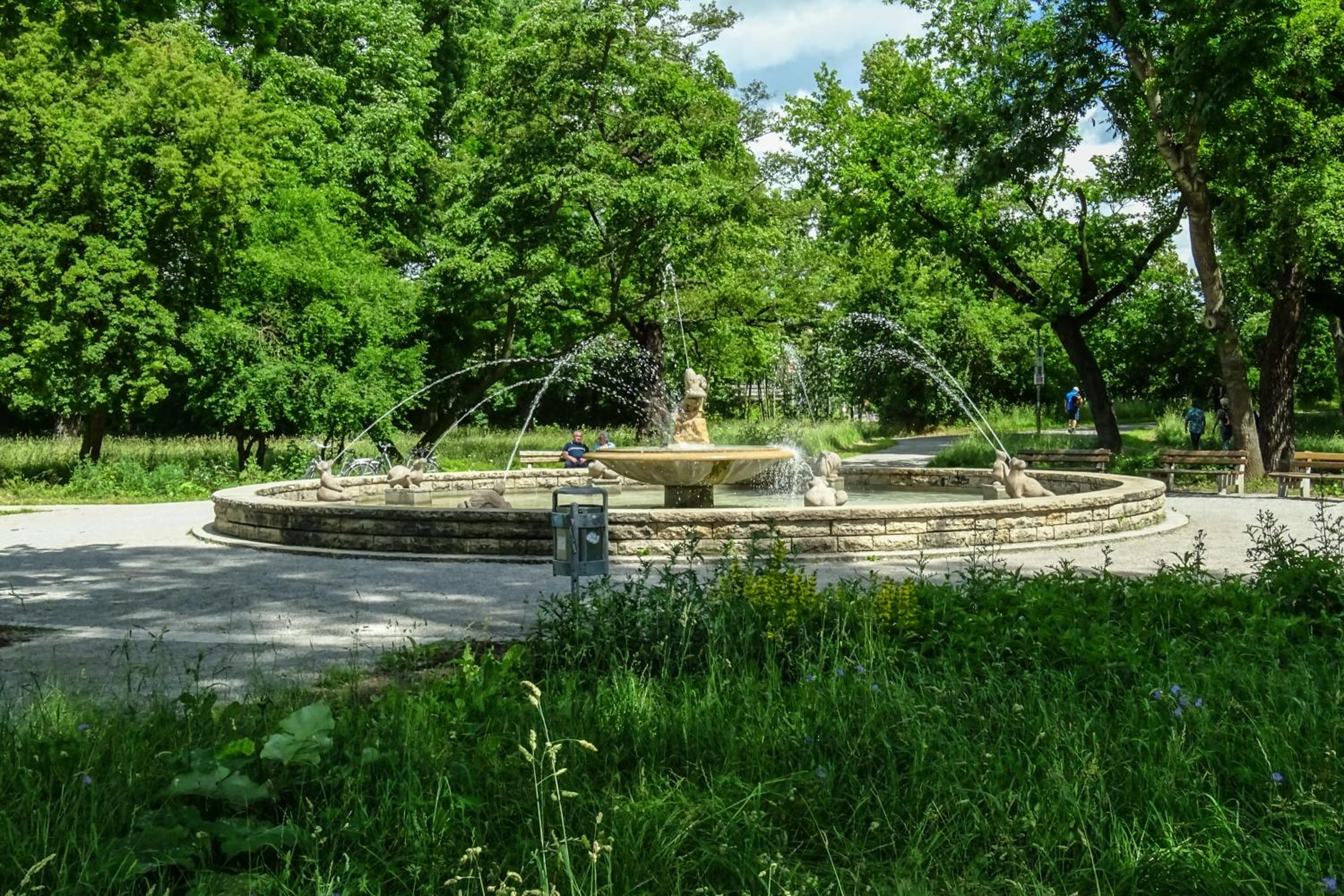 Photo 11