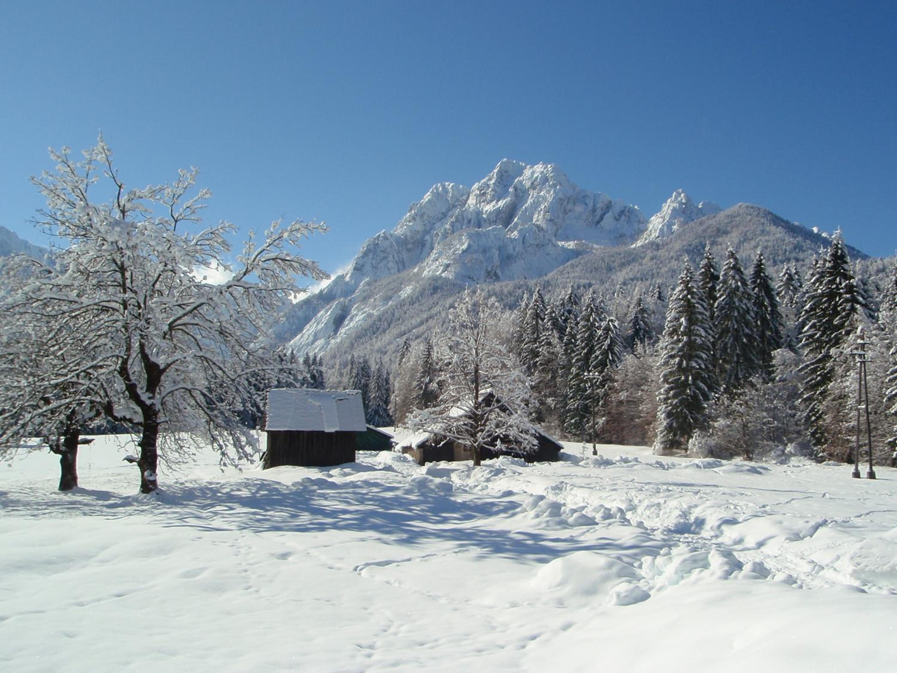 Photo 49