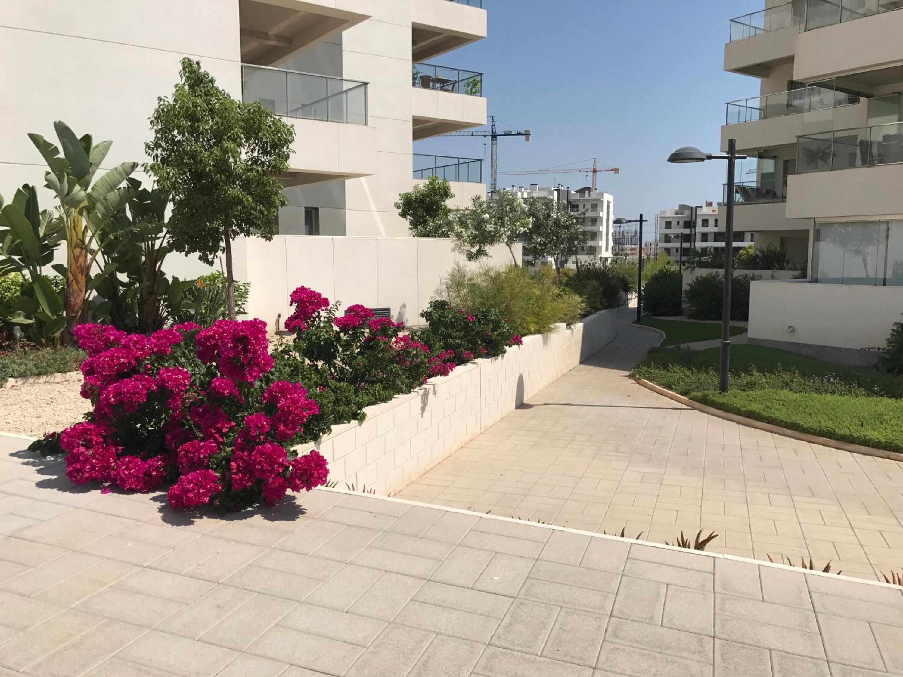 Altos del Mediterraneo La Zenia