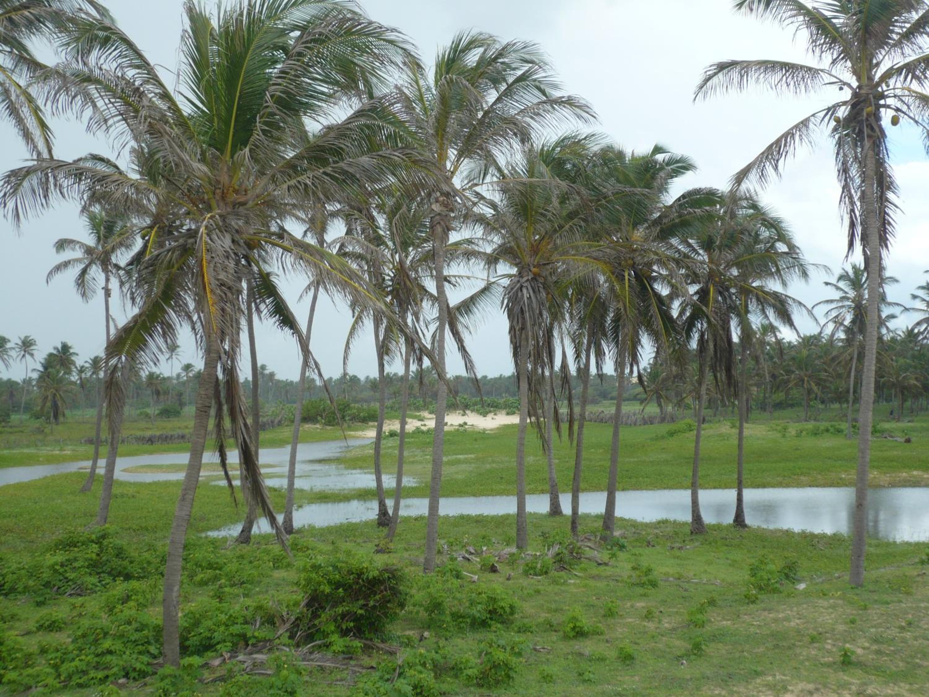 Casa de 4 quartos á 6Km da praia de Lagoinha-ce