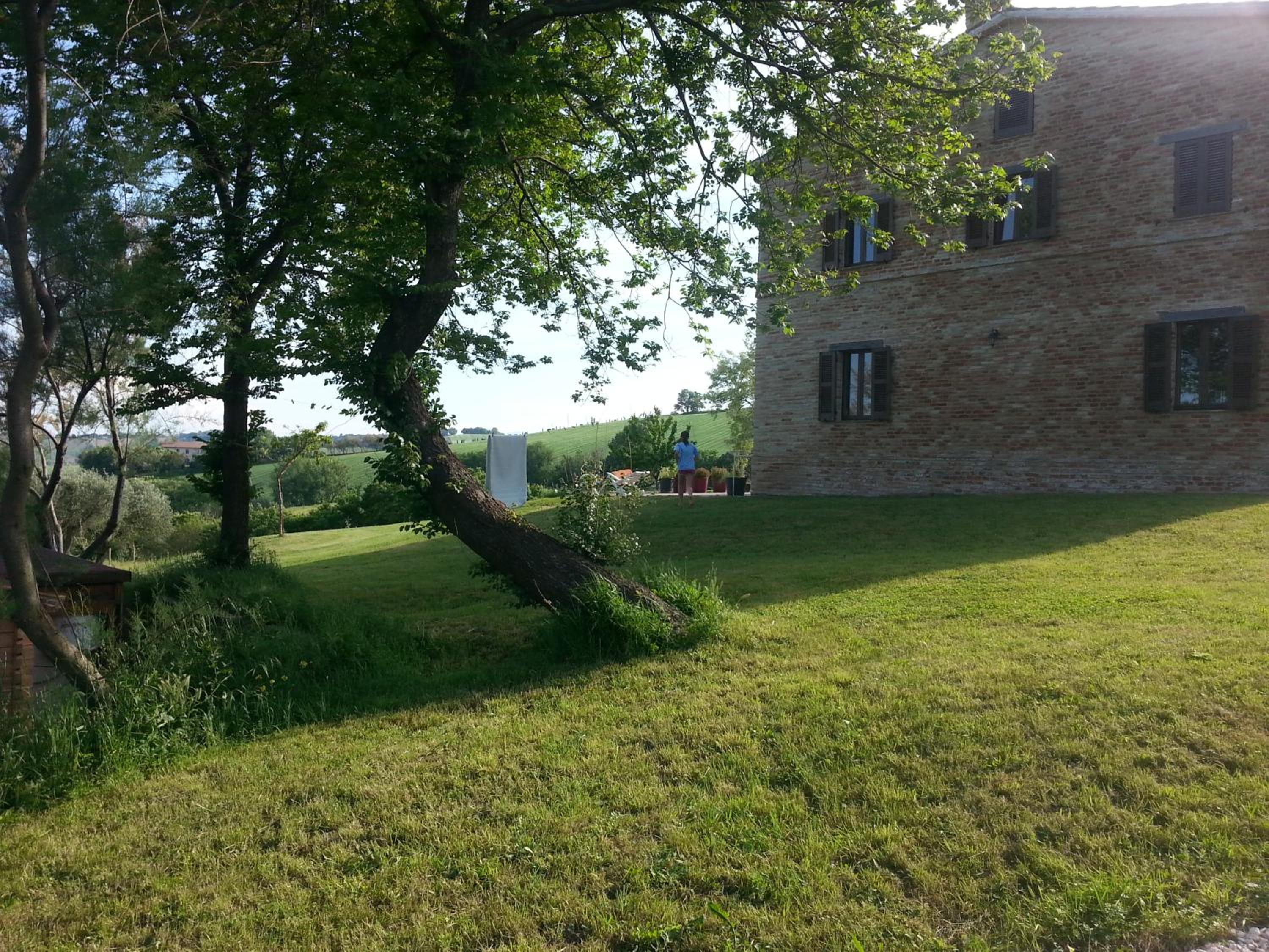 Tenuta Tredici Ulivi - Agriturismo & Glamping view 4