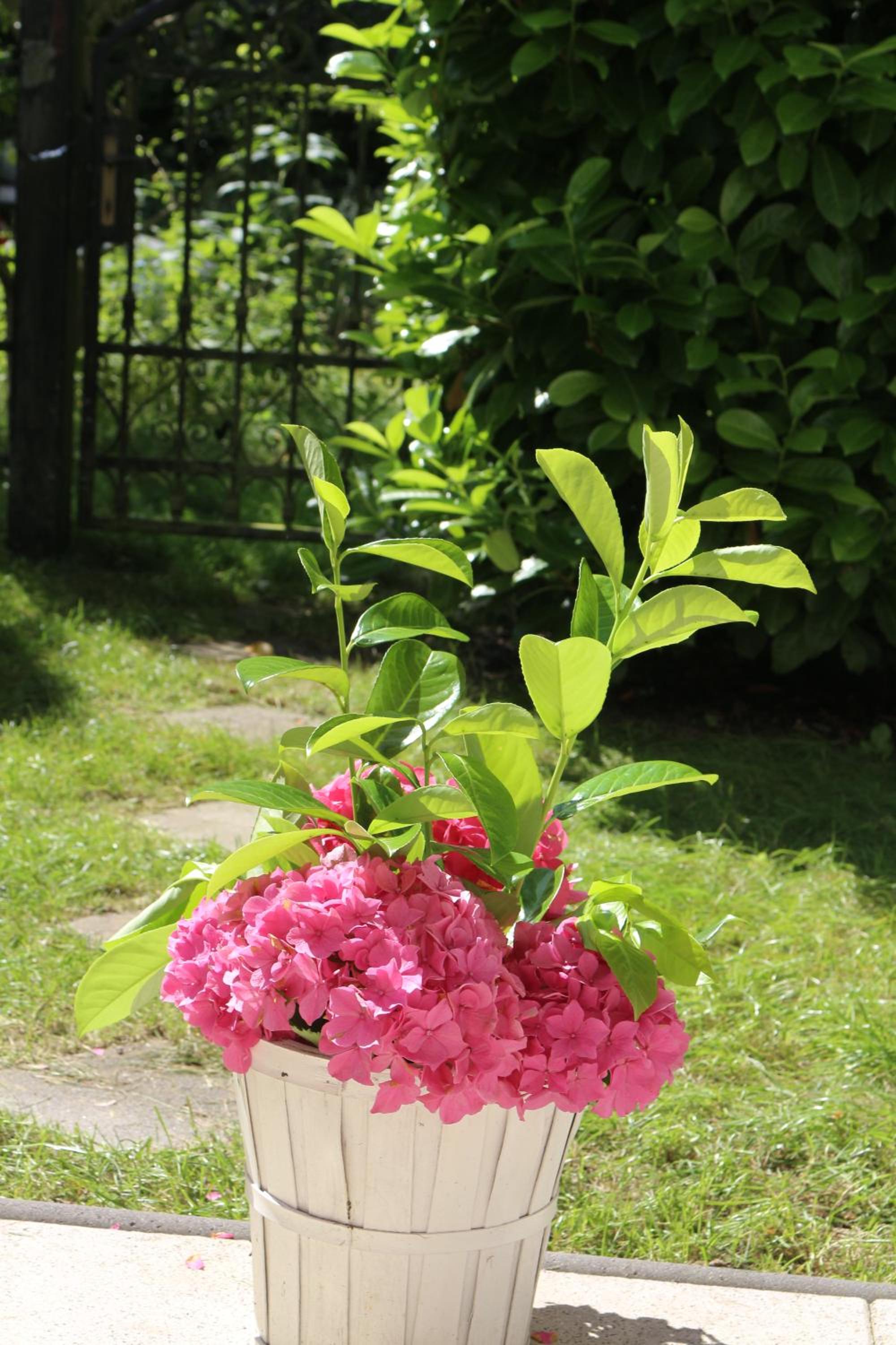 Photo 14