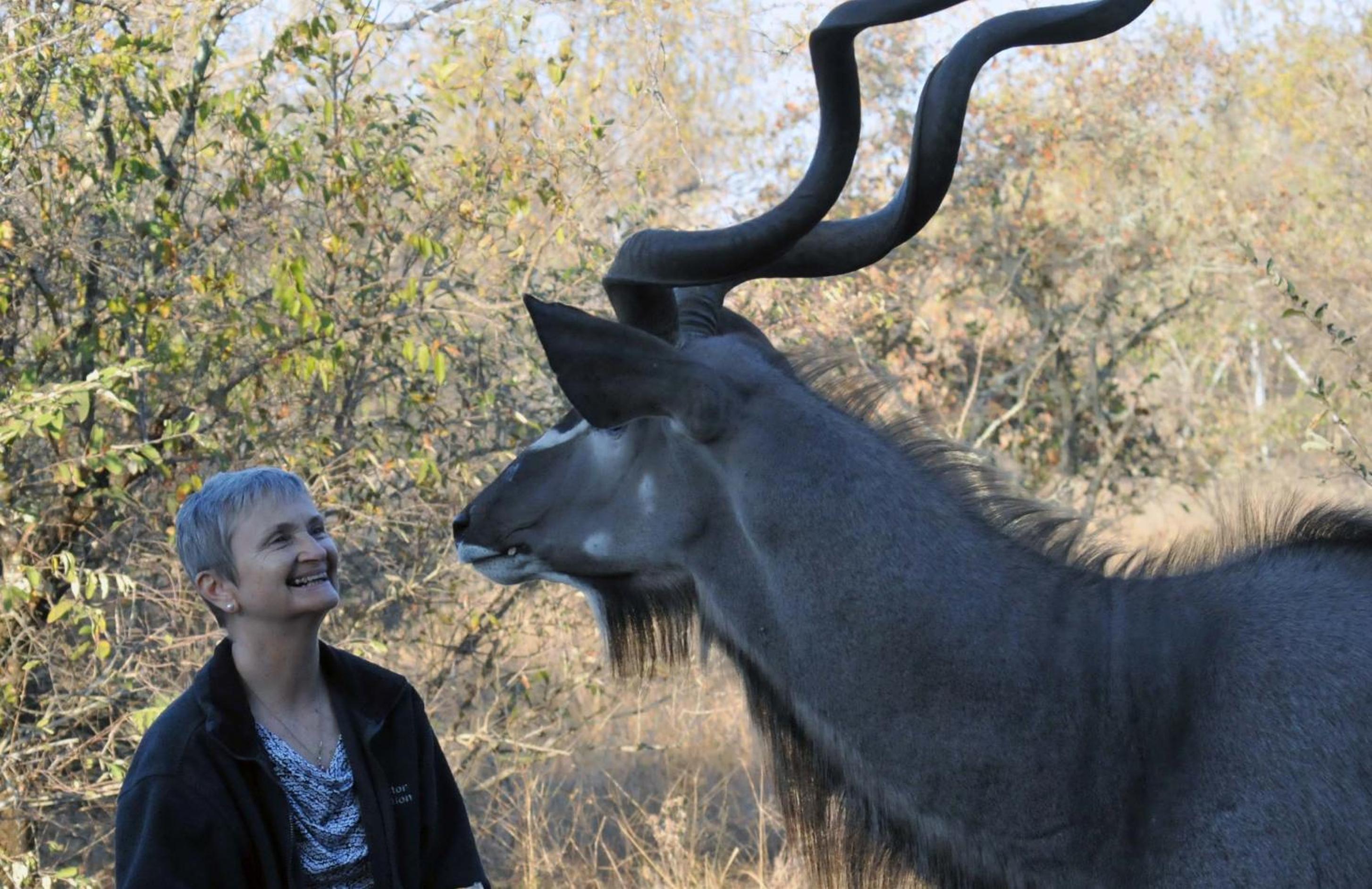 Imbube Safari Lodge