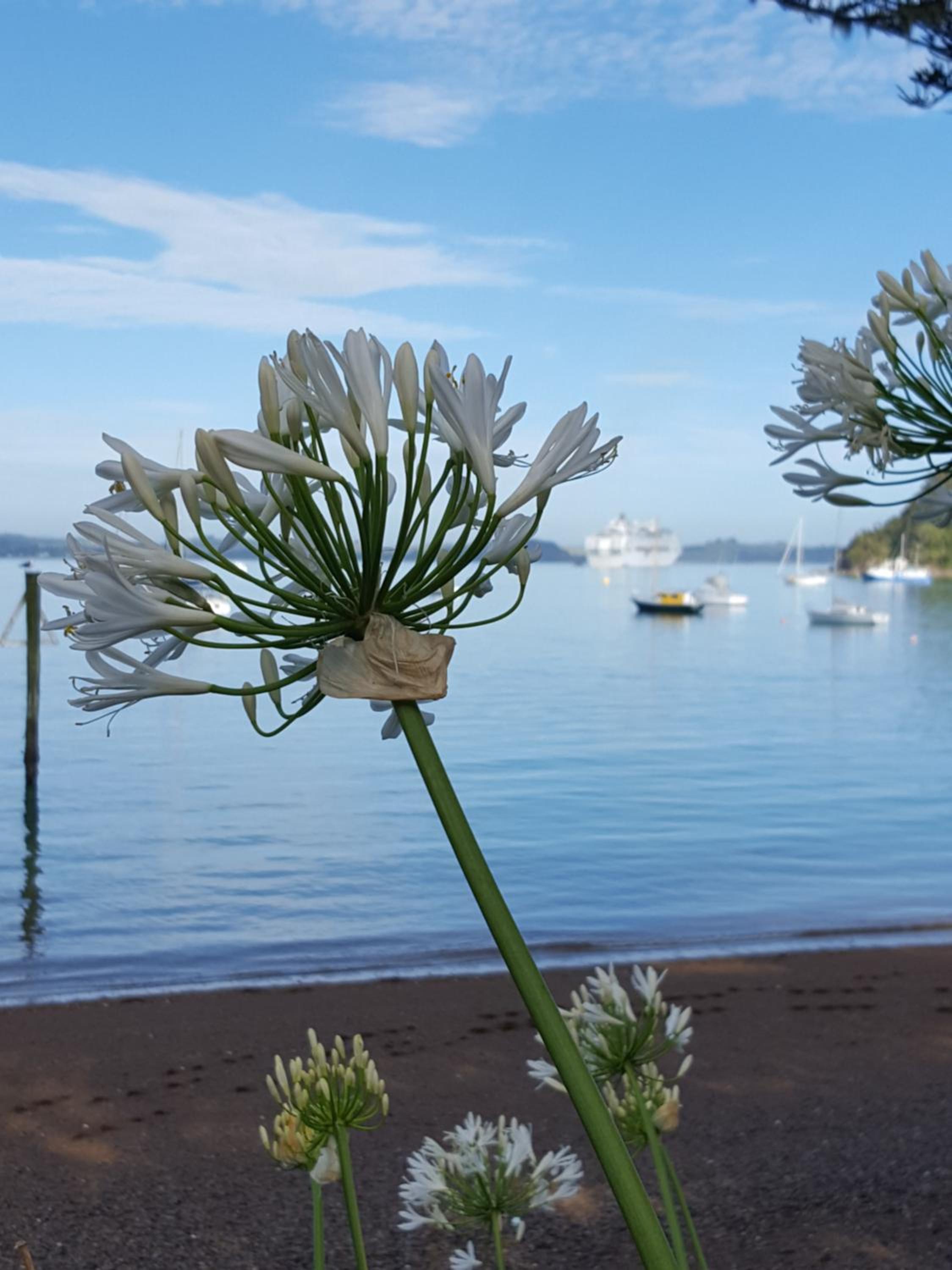 Seaport Village