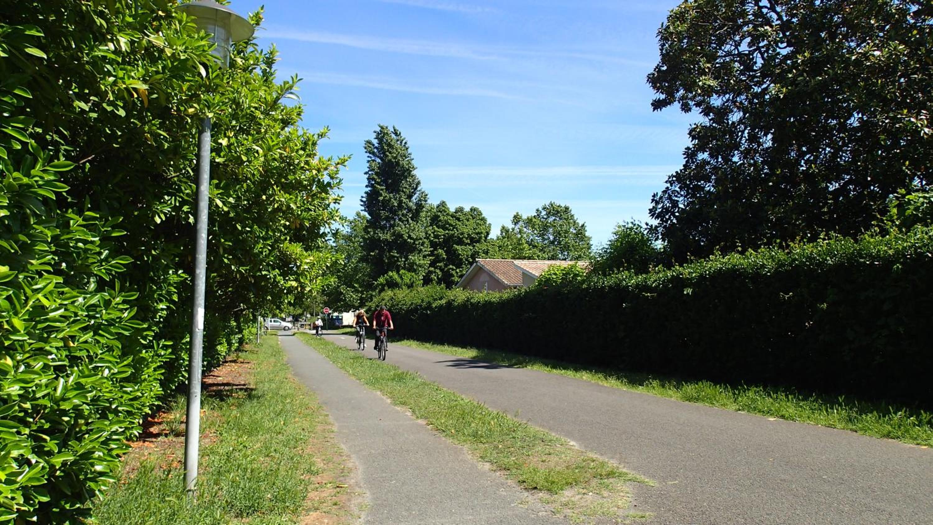 Clos Chantegrive, photo 59